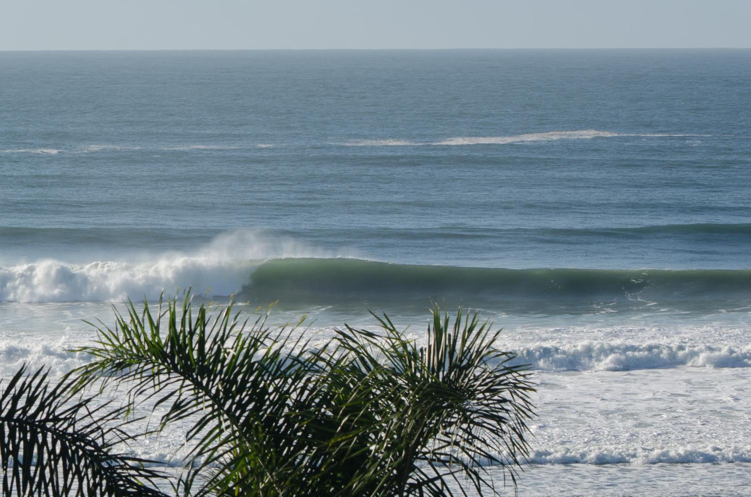 Fazenda Verde - Praia do Rosa