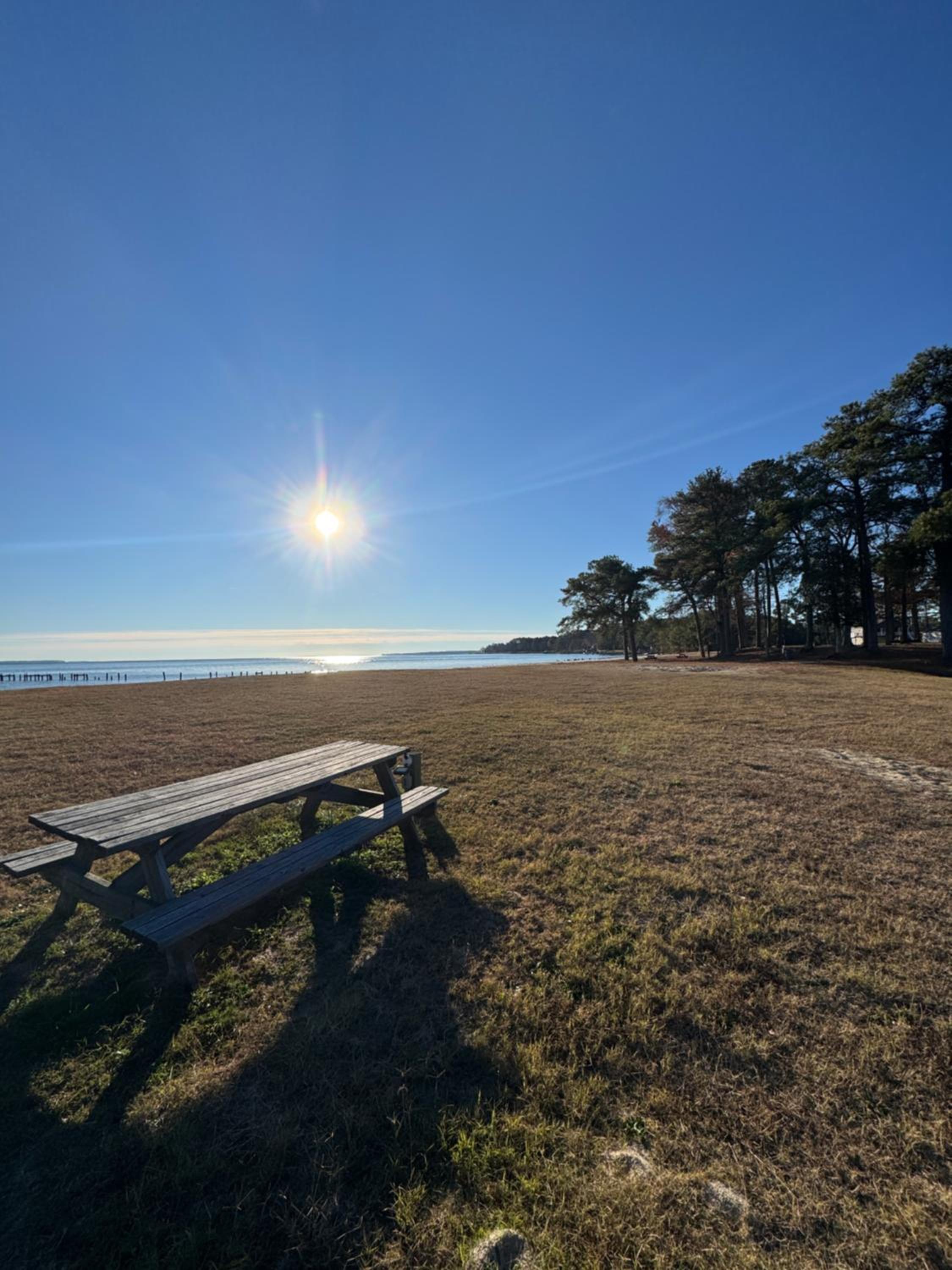 Coles Point Marina and Campground