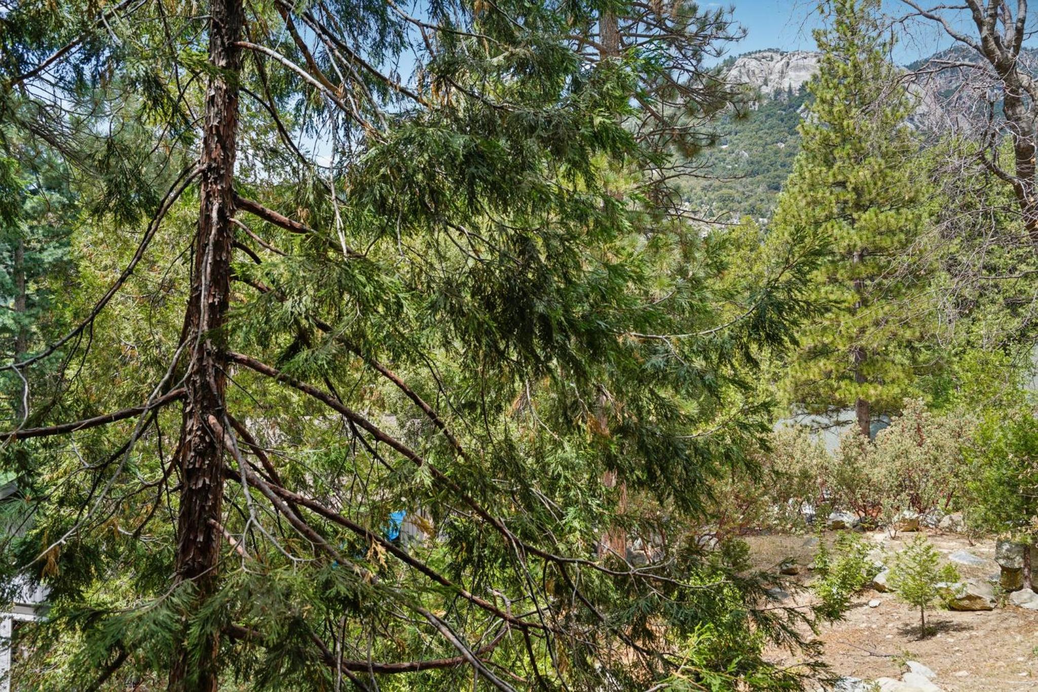 Idyllwild Realty Vacations