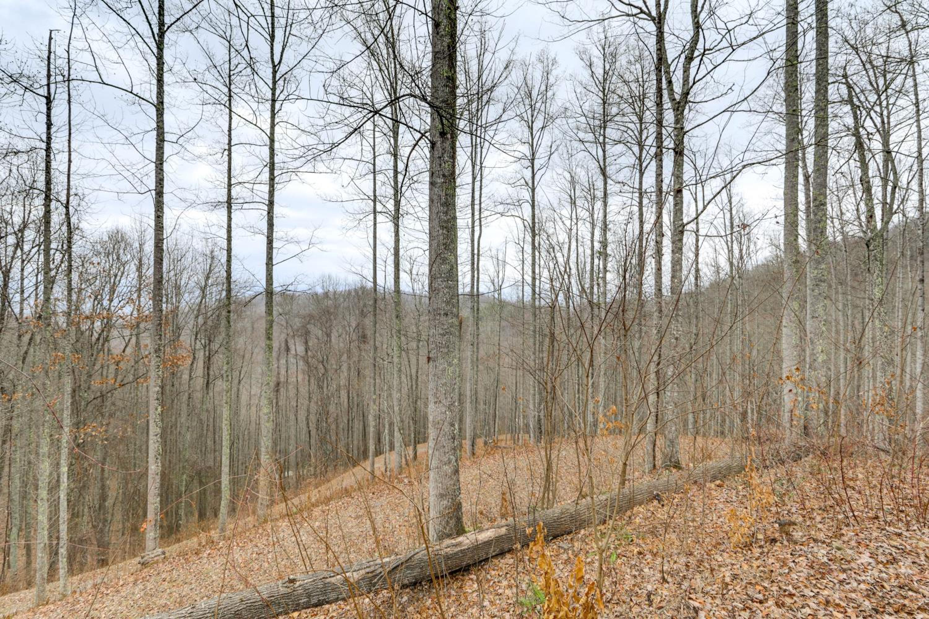 11 Mi to Great Smoky Mountains NP Modern Cabin