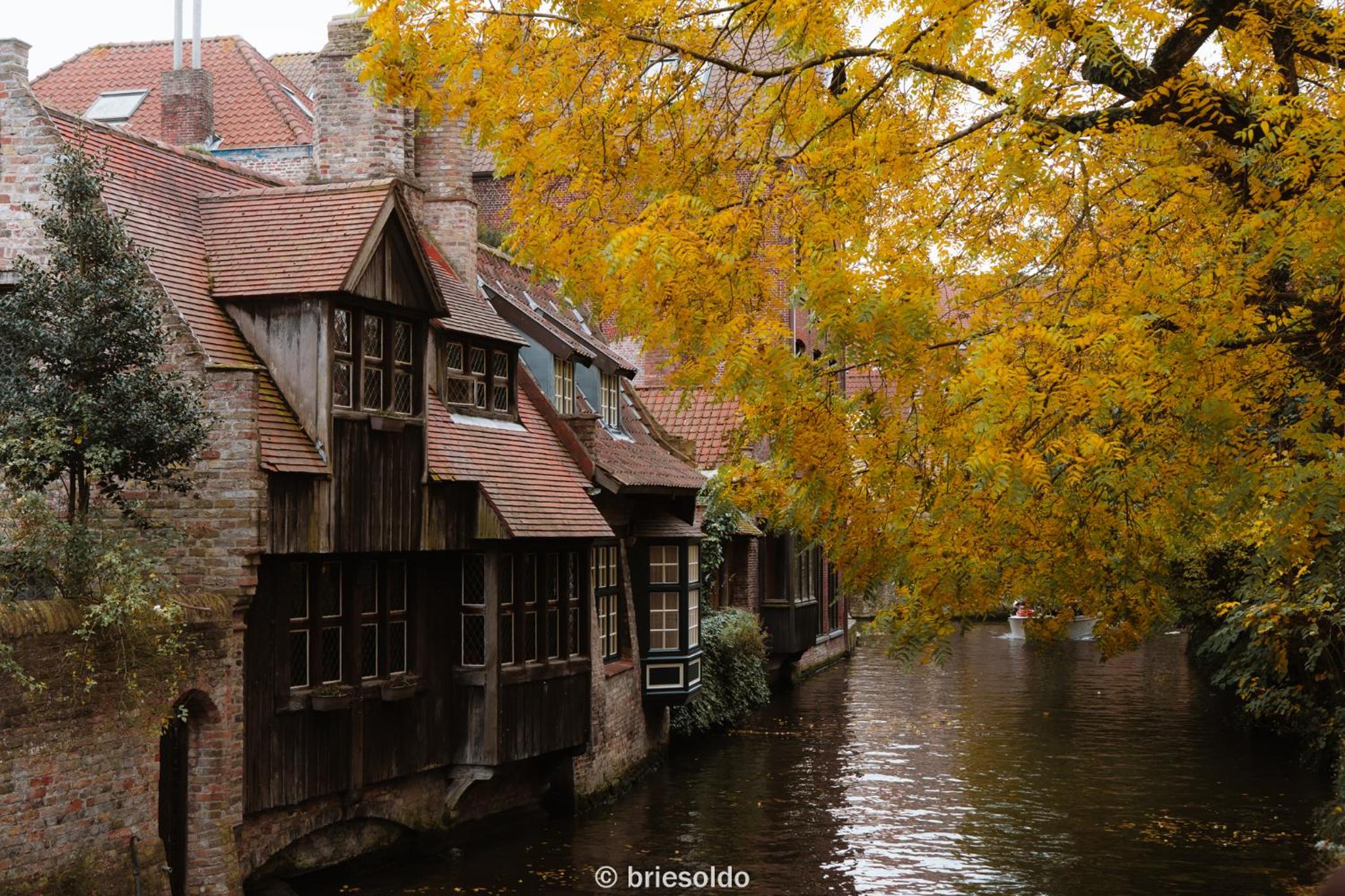 La Petite Foret Flat near Historic Bruges