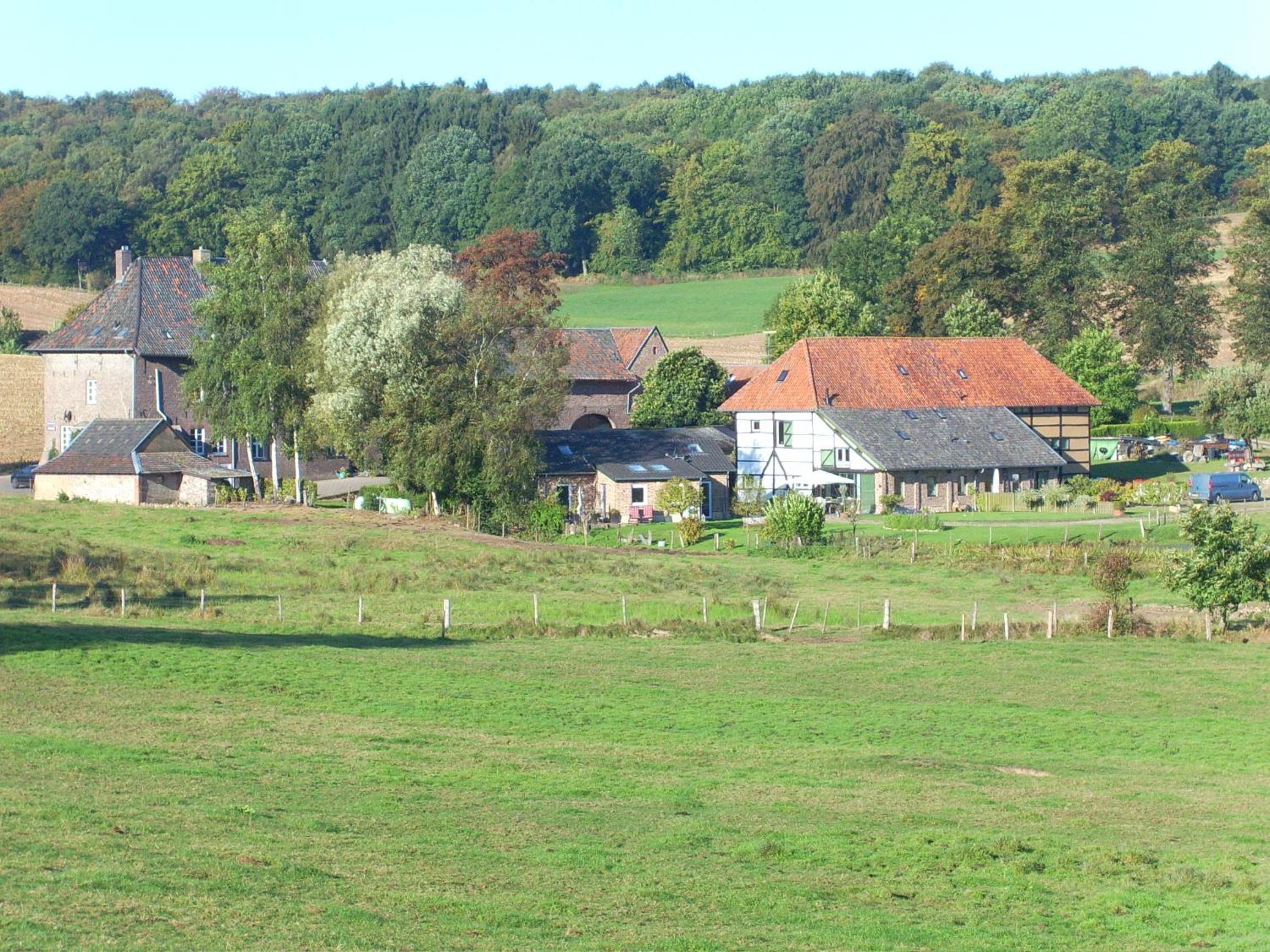Photo 41