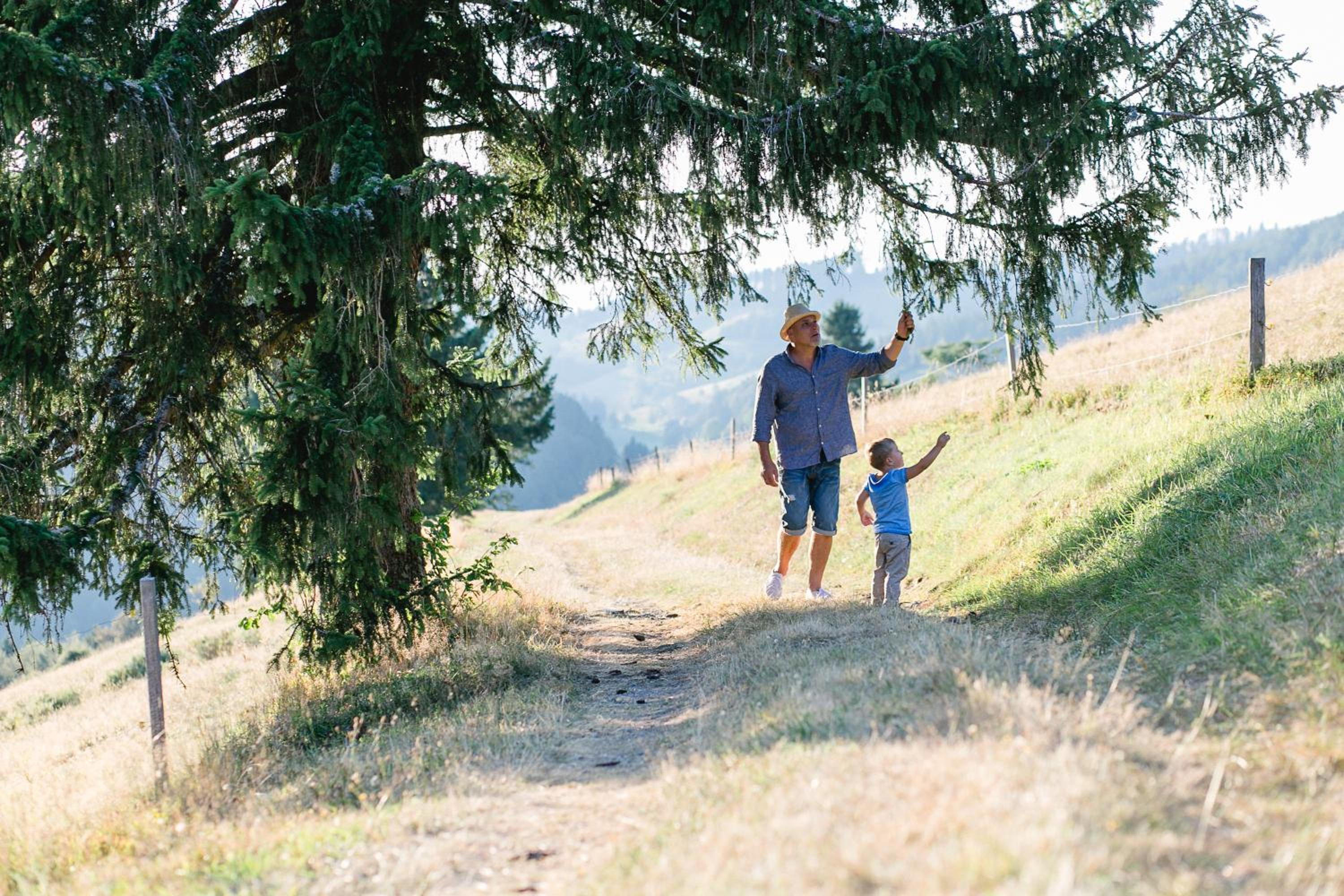 HUS - Chalet Lodges