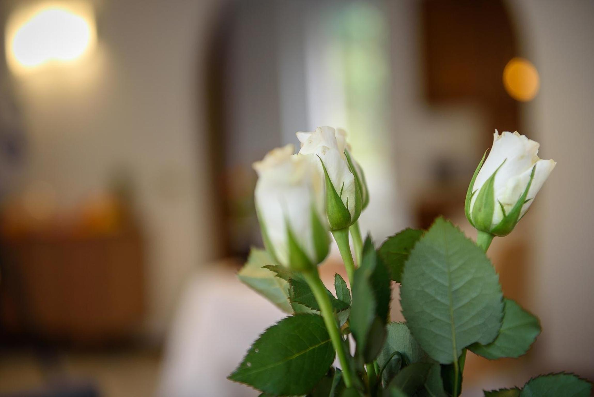 Bed and Breakfast Sweet Home