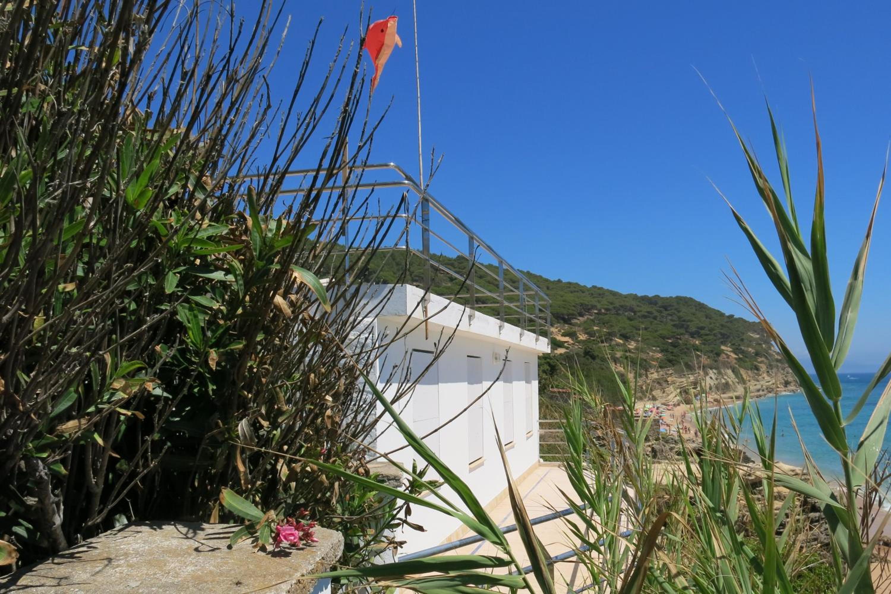 Photo 40