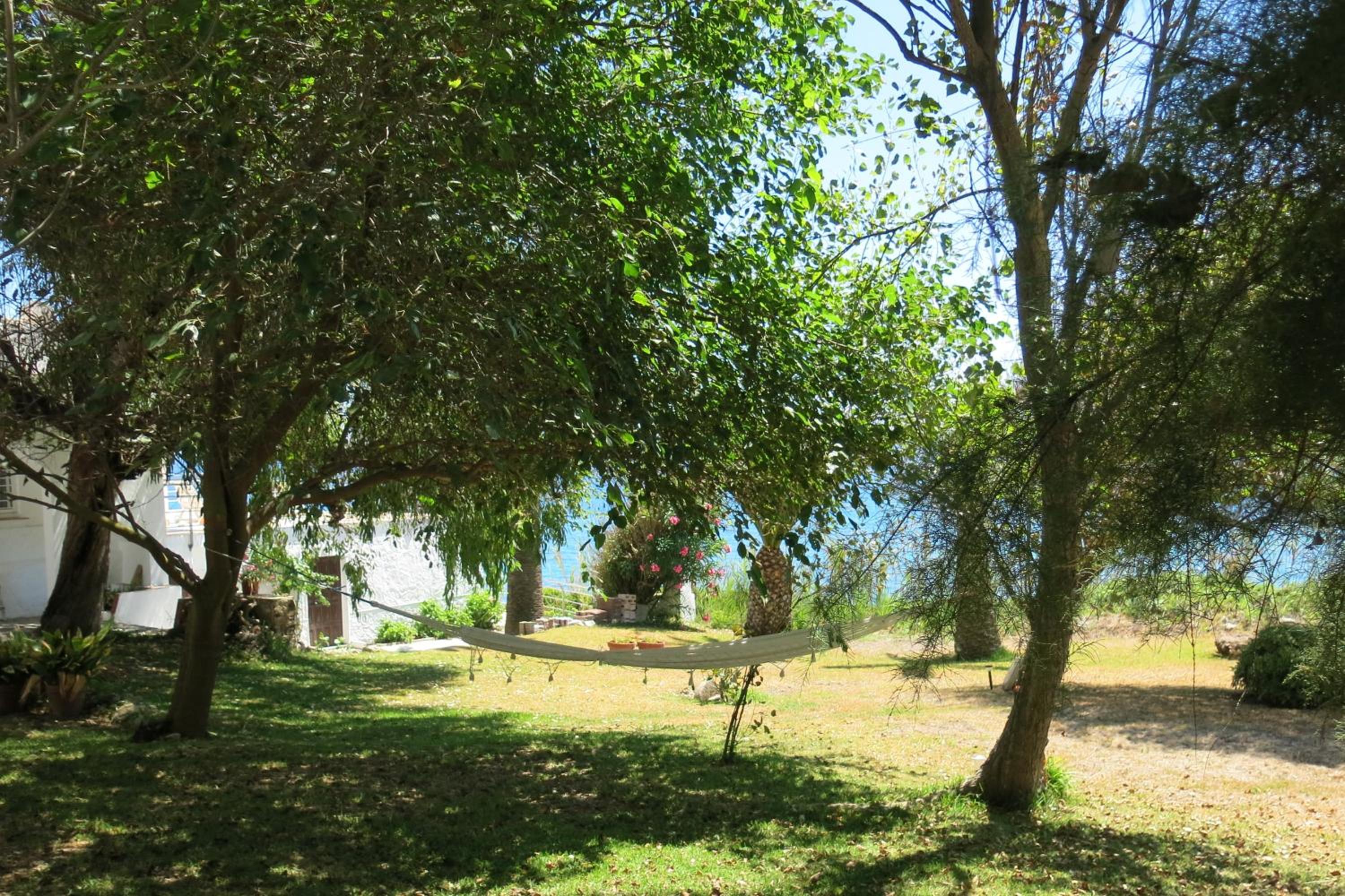 Photo 29