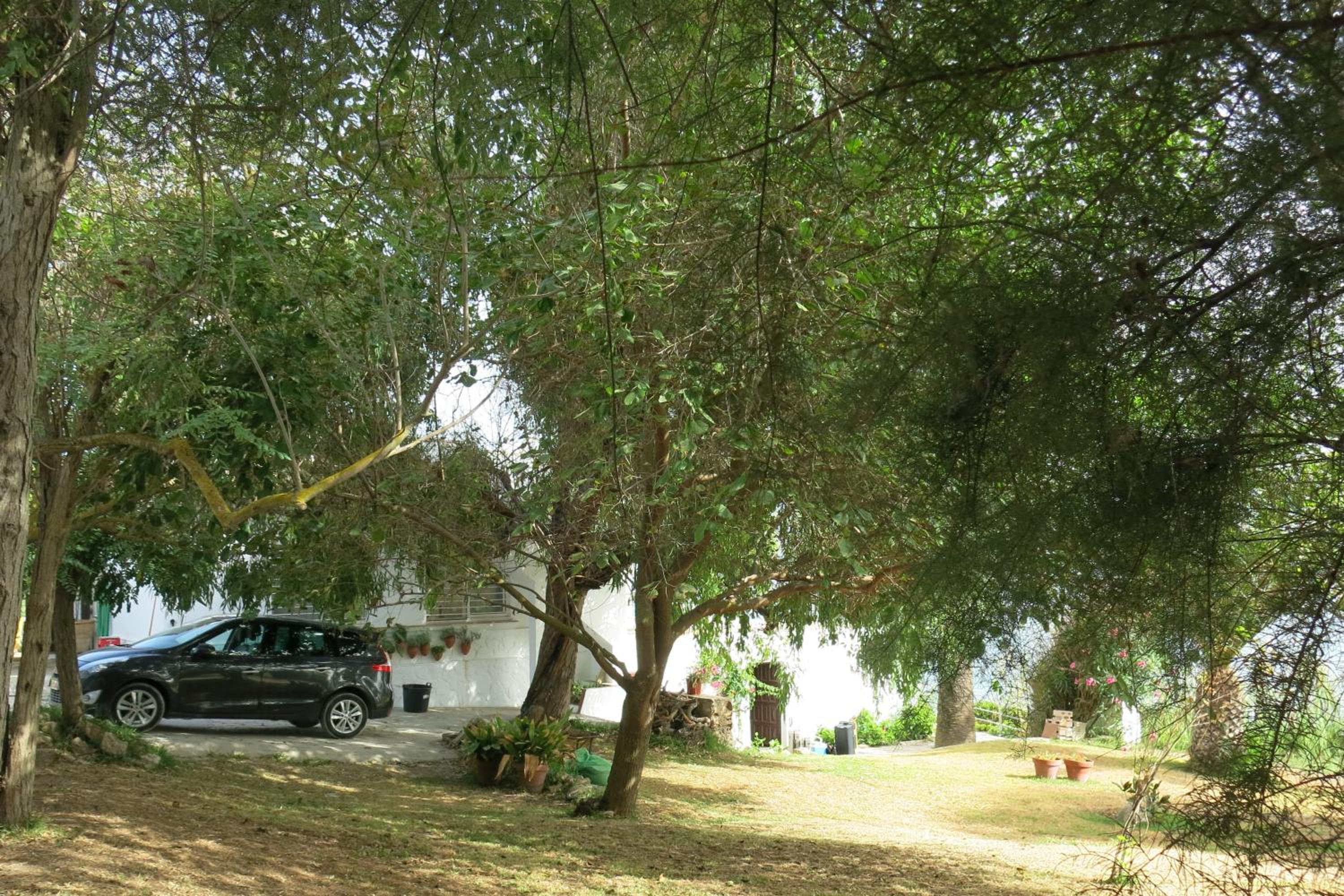 Photo 30