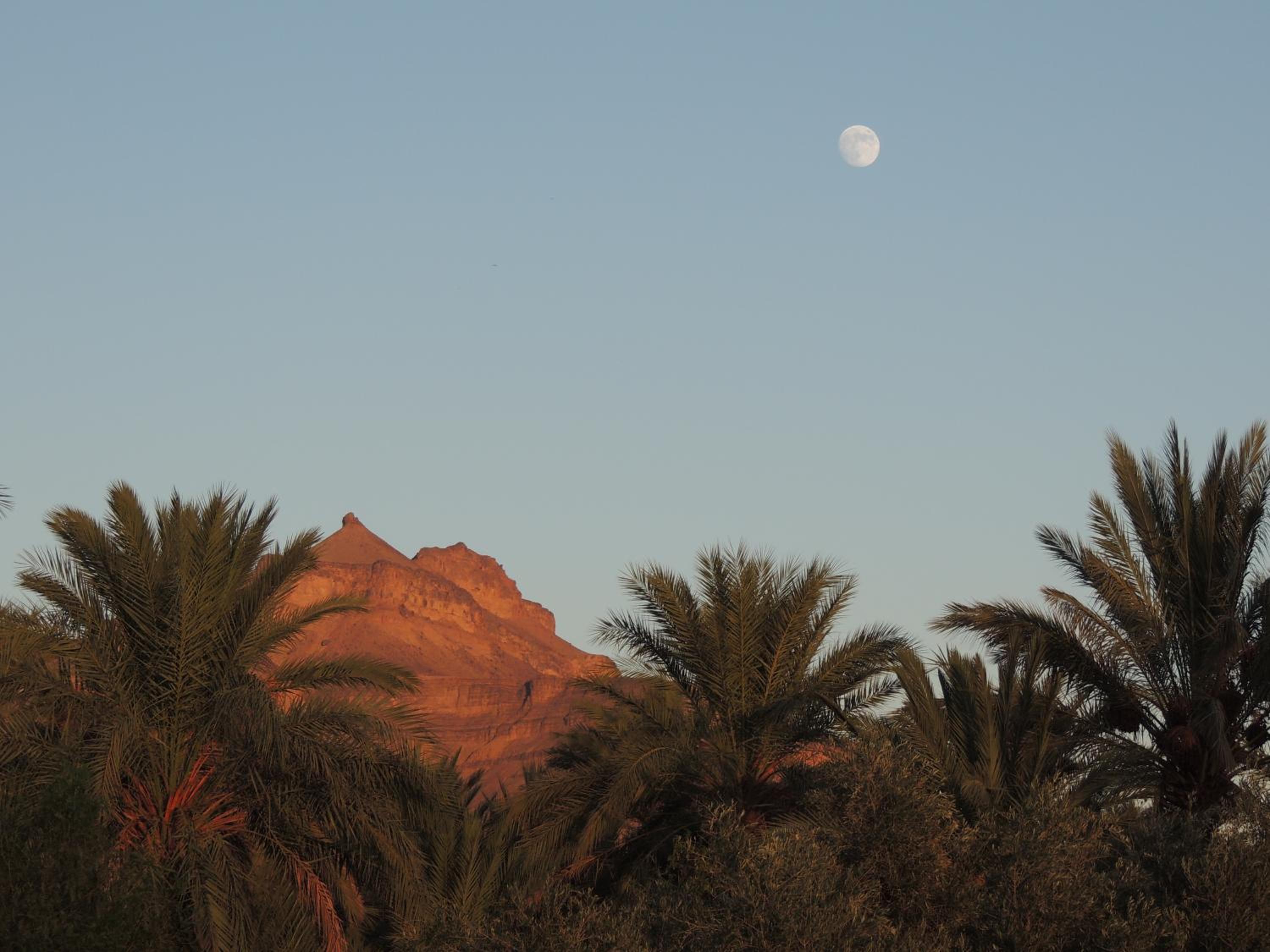 Dar Qamar view 5