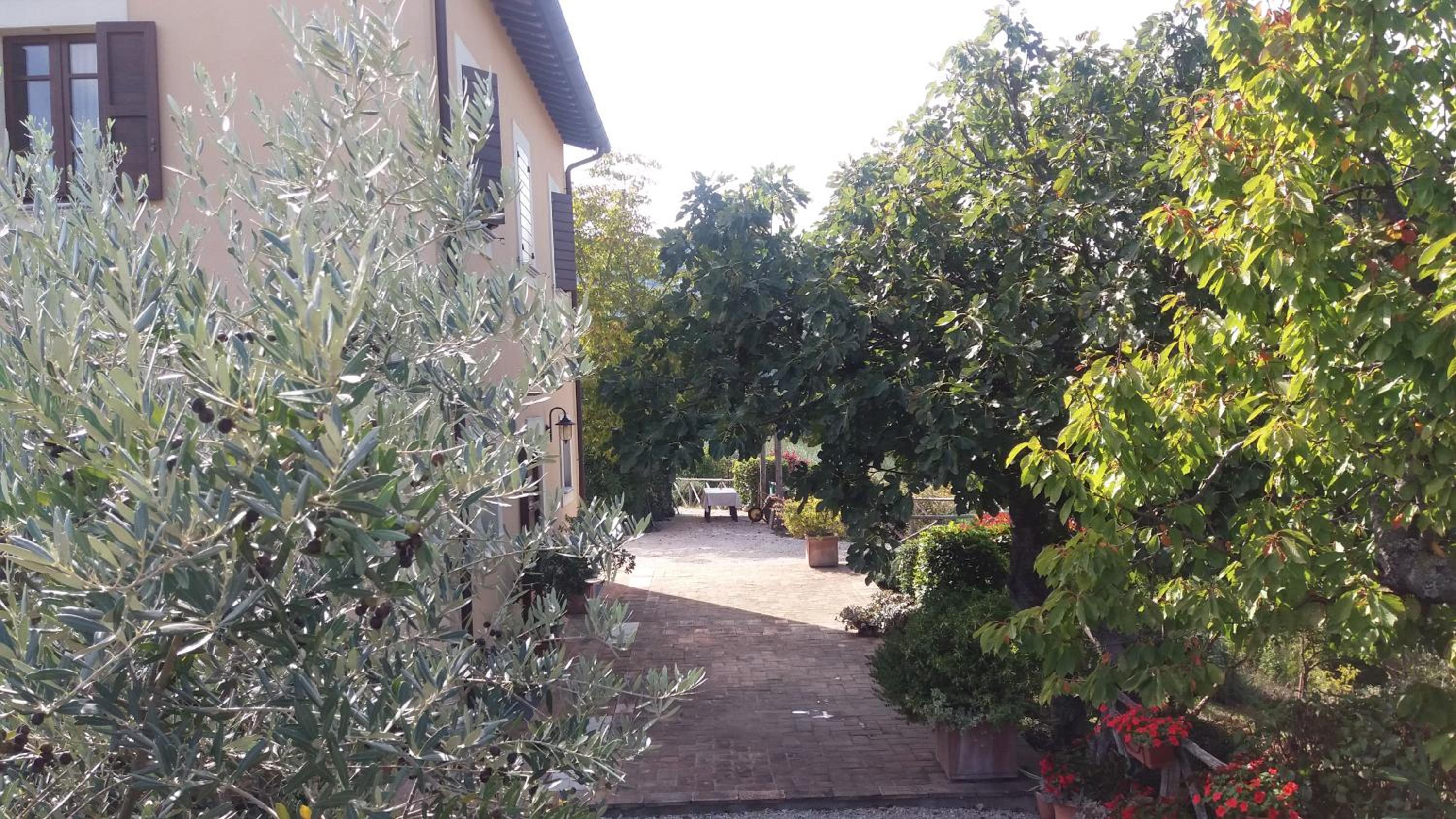 Tenuta Colverano