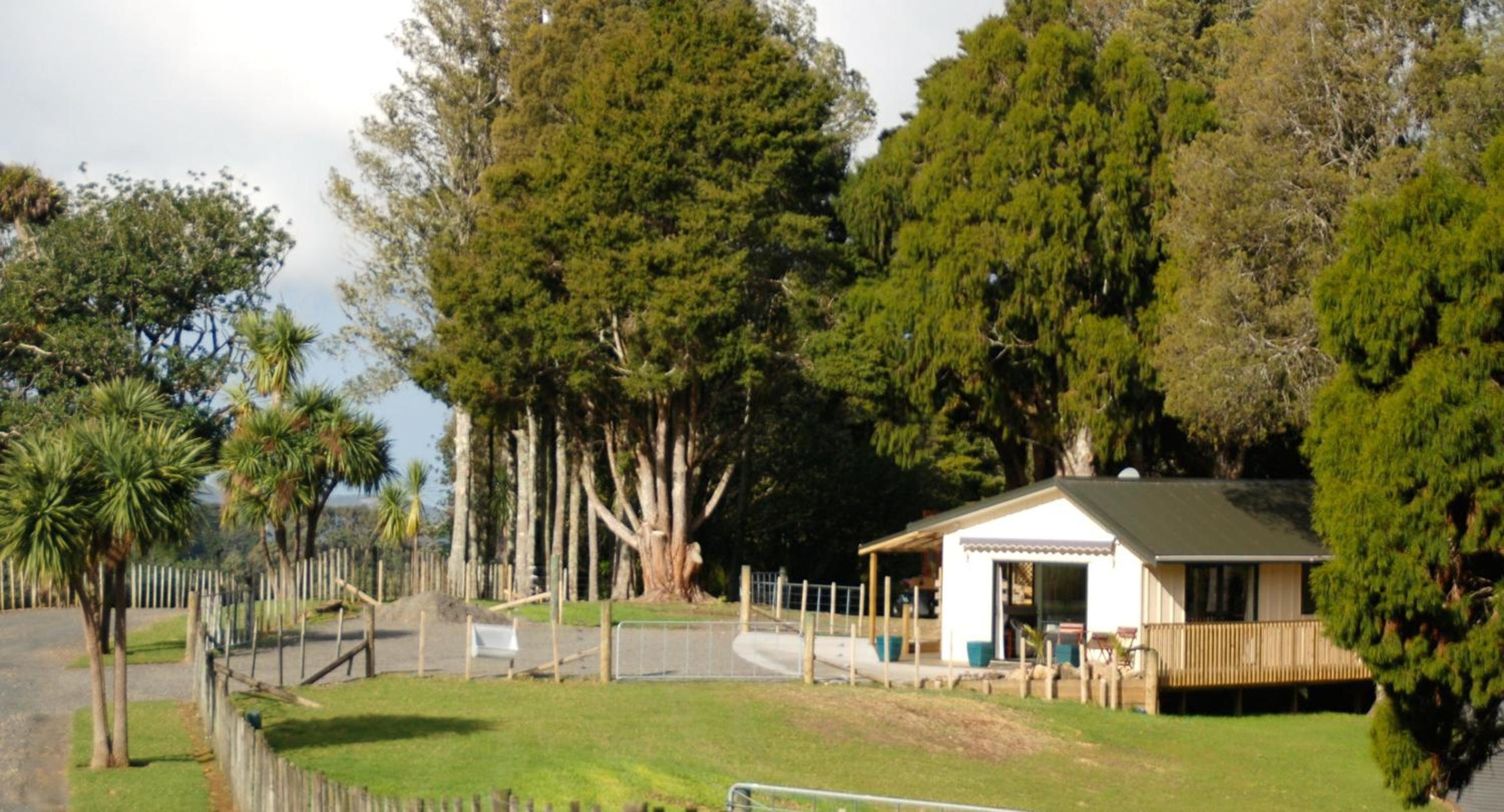 Kohinui Glade Holiday Cottage
