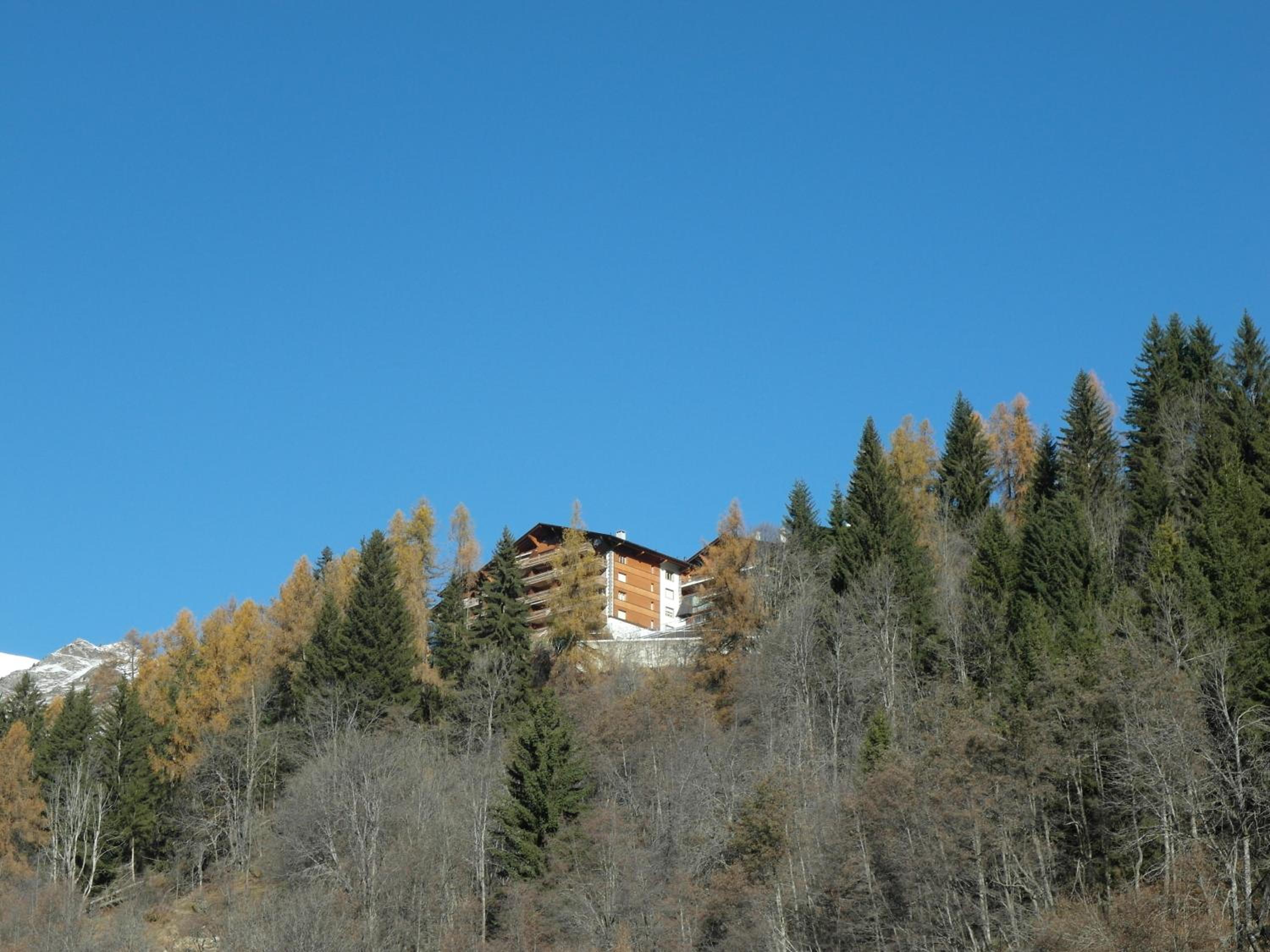 Photo 40