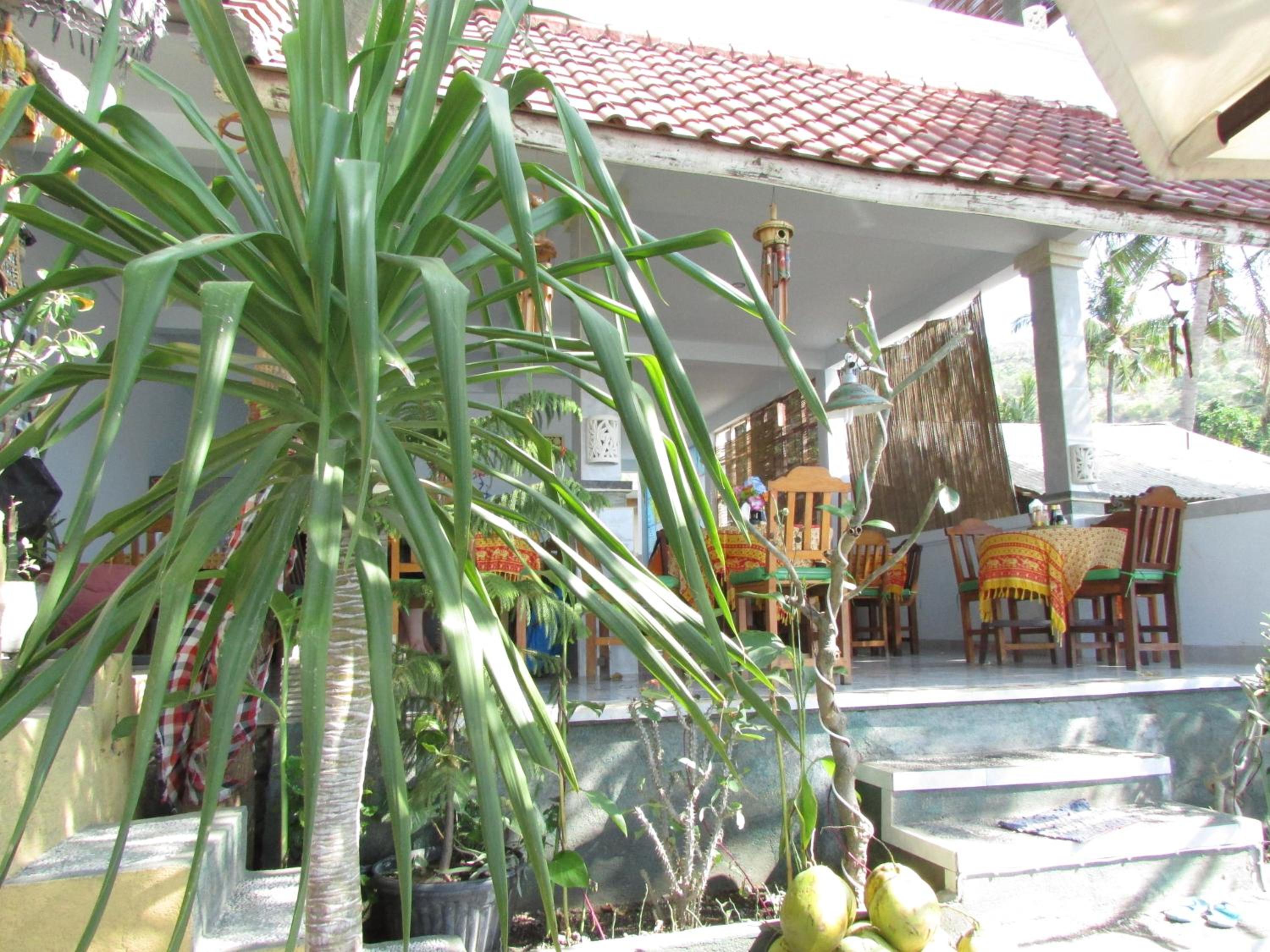 Warung Jemeluk & Home Stay, Amed - 11