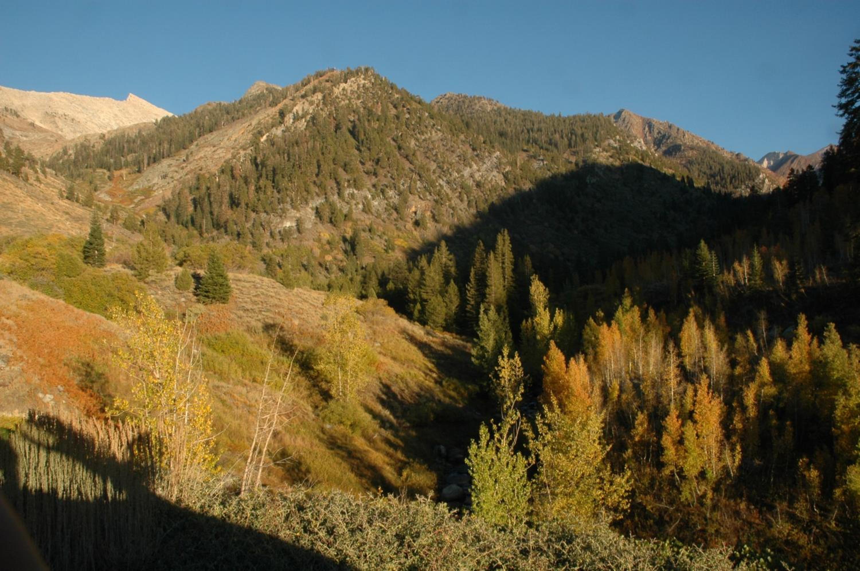 Silver City Mountain Resort