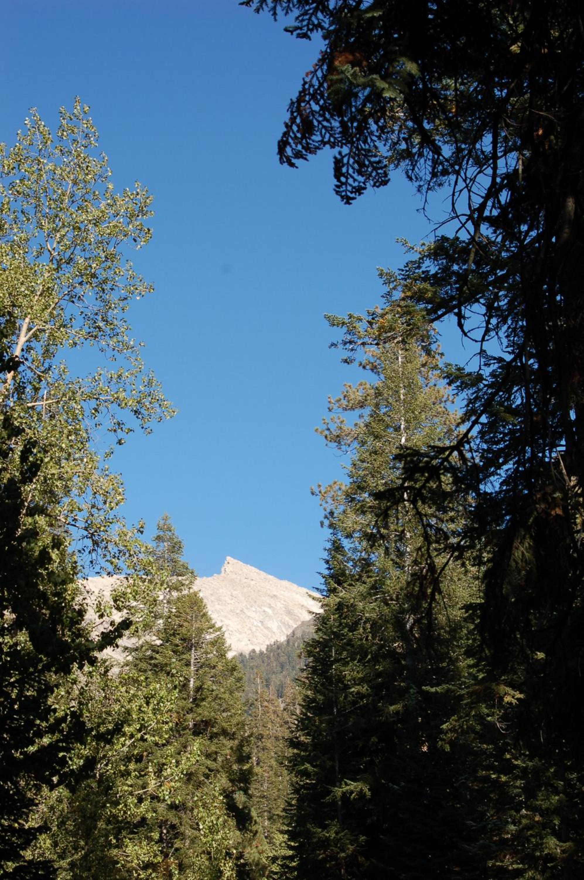 Silver City Mountain Resort