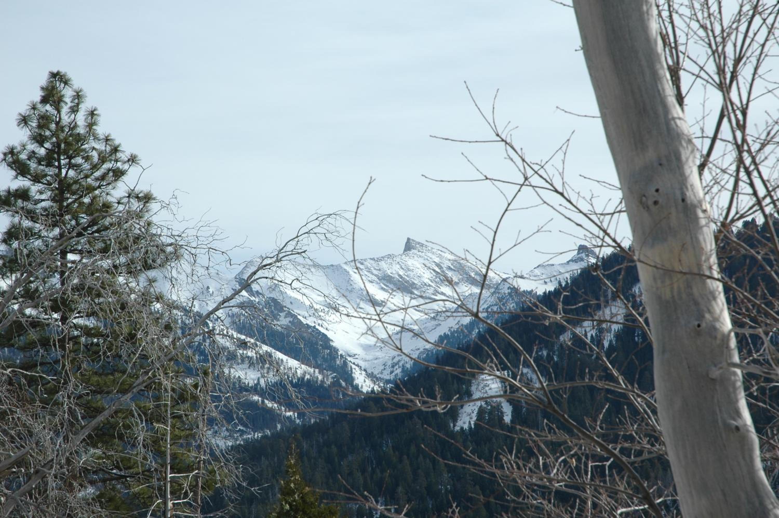Silver City Mountain Resort