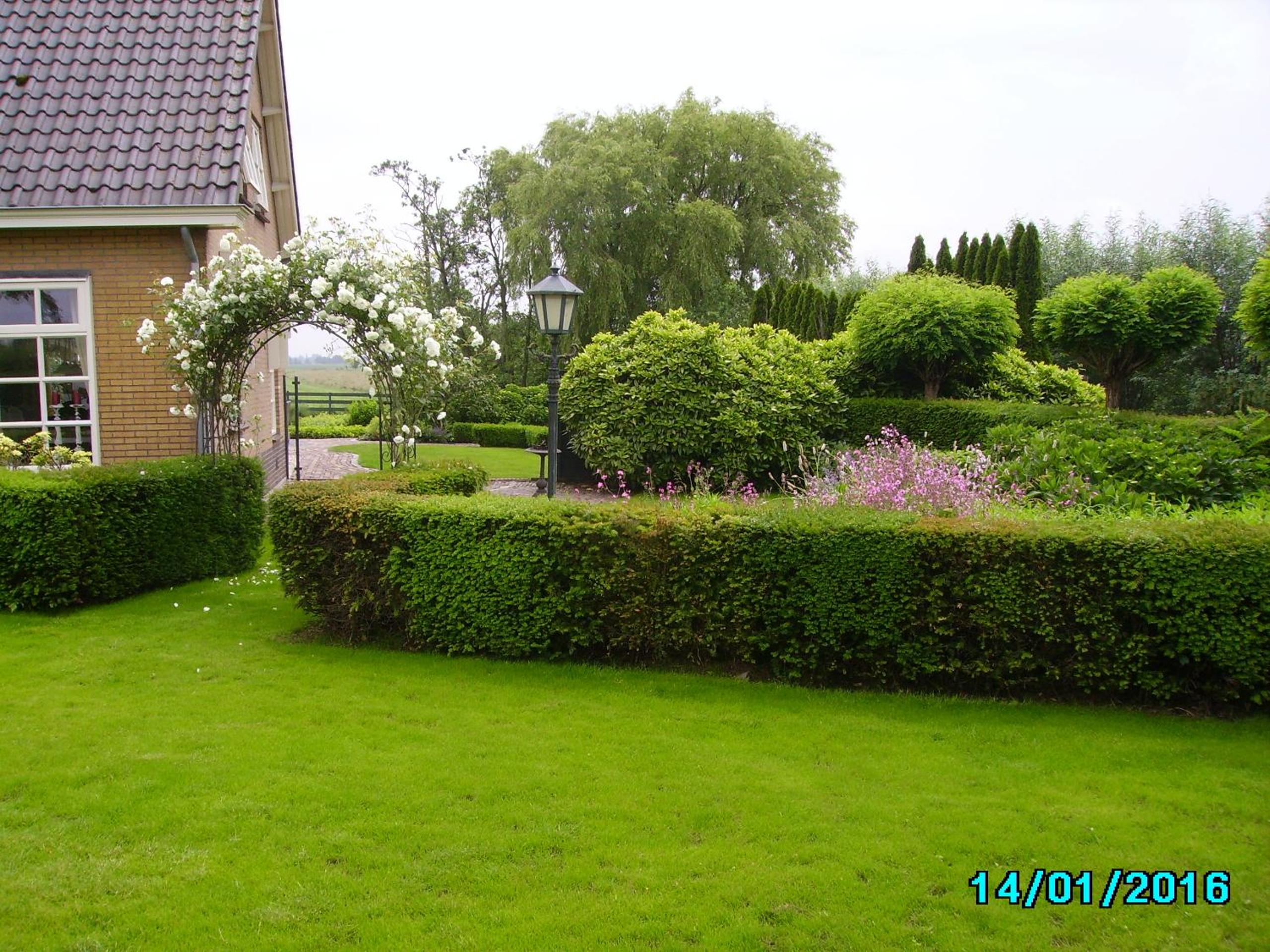 Photo 42