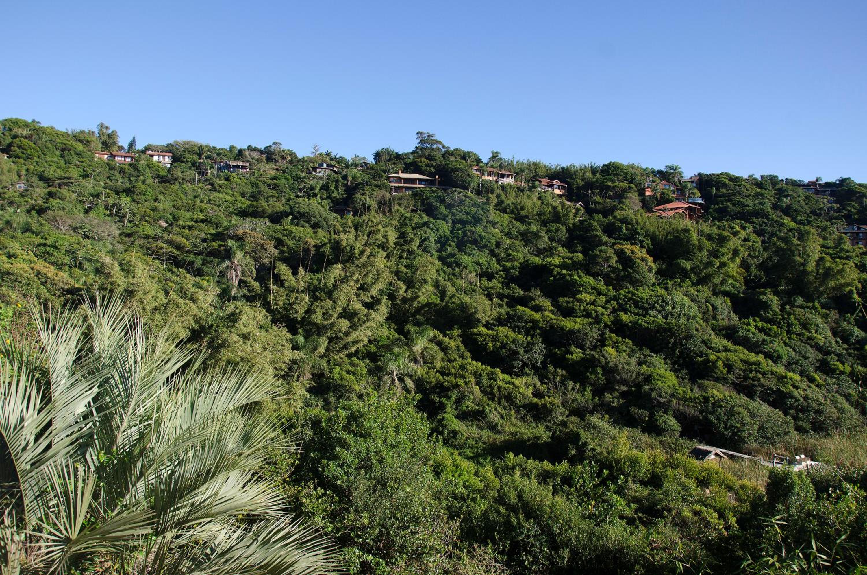 Fazenda Verde - Praia do Rosa