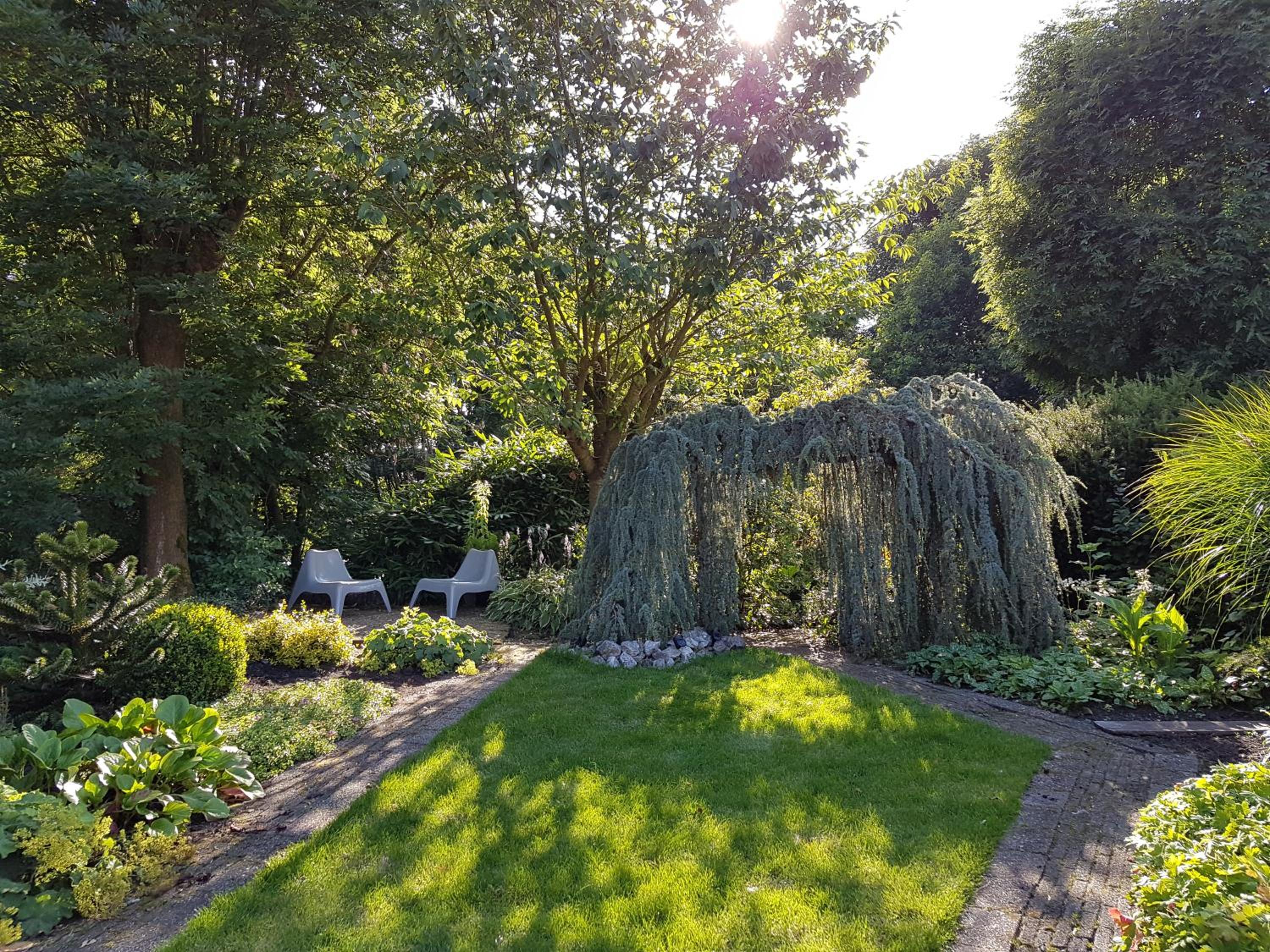 Photo 18