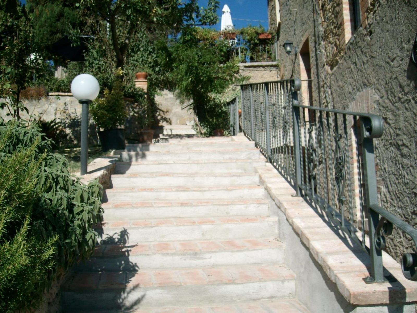Photo 31