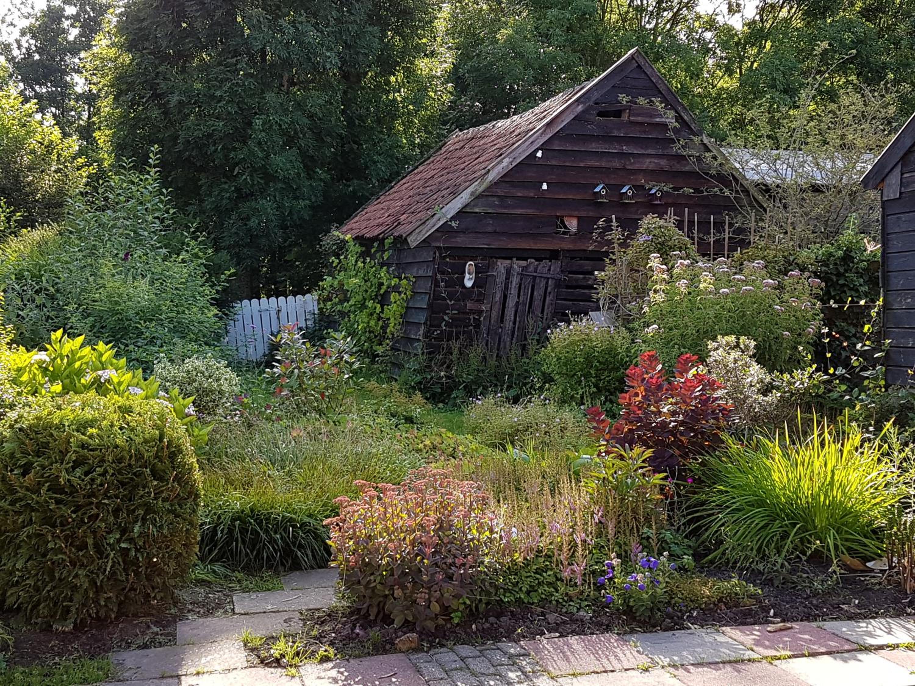 Photo 26