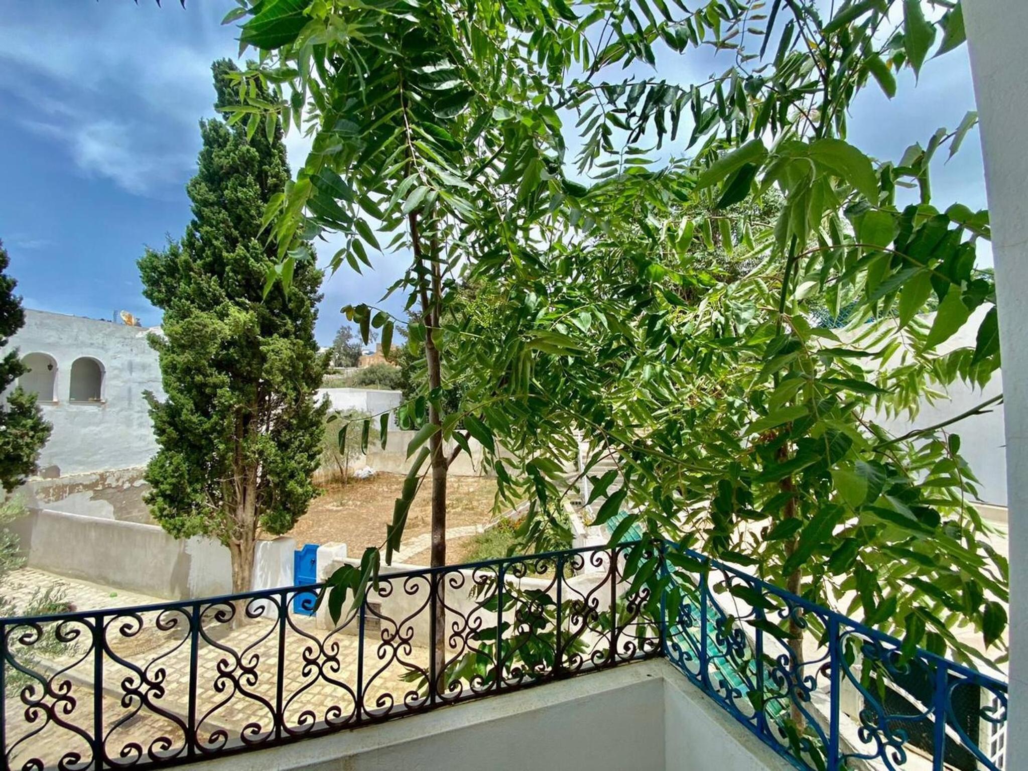 Le Havre Bleu an idyllic stay in Sidi Bou Said