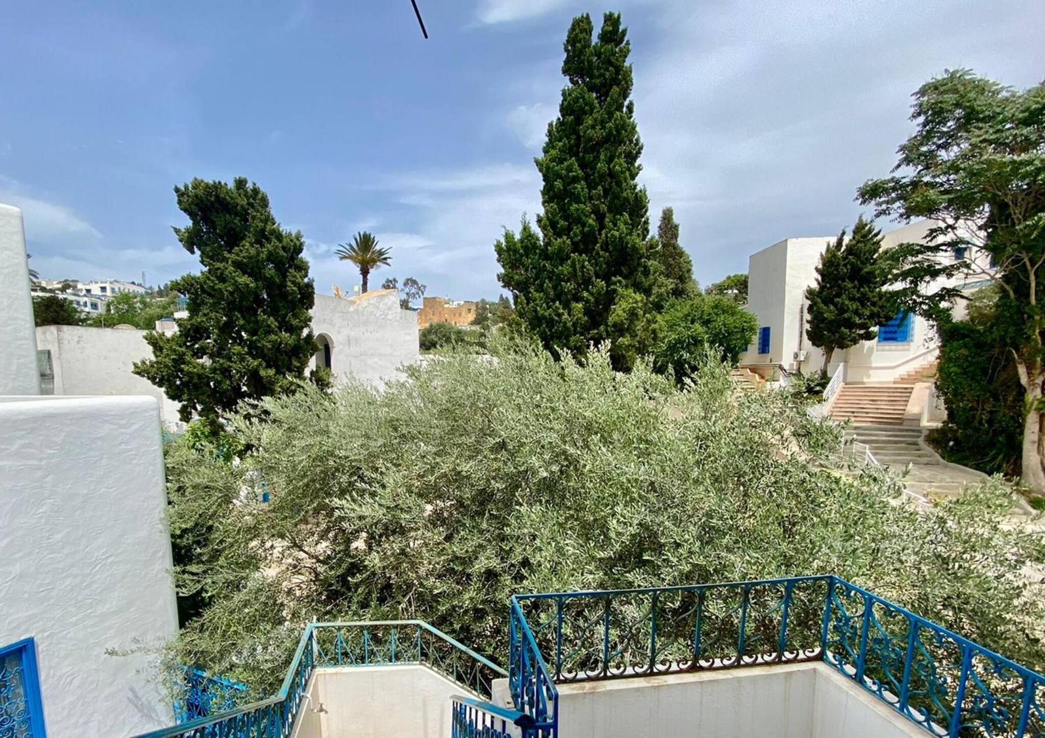 Le Havre Bleu an idyllic stay in Sidi Bou Said