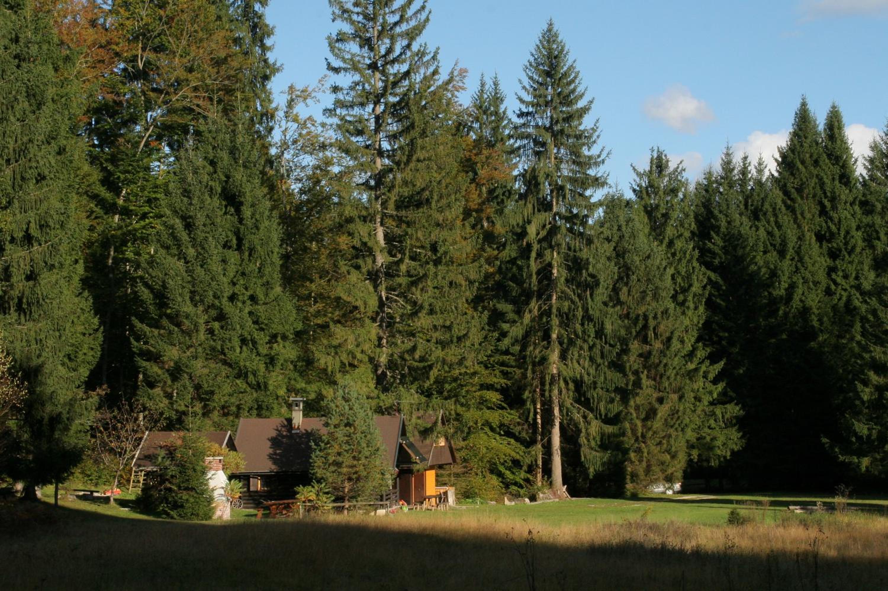 Fikfak cottage view 3