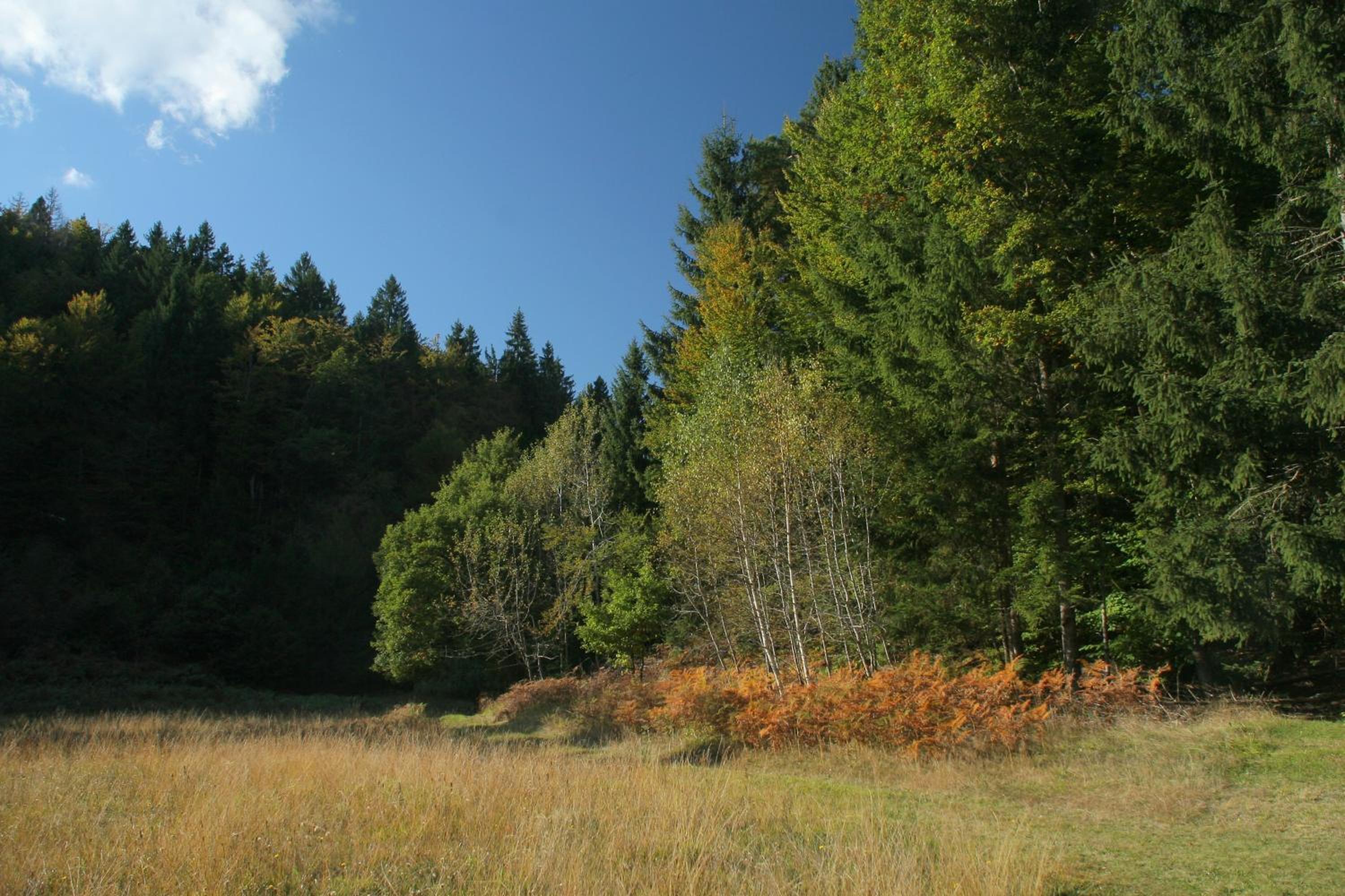 Photo 30