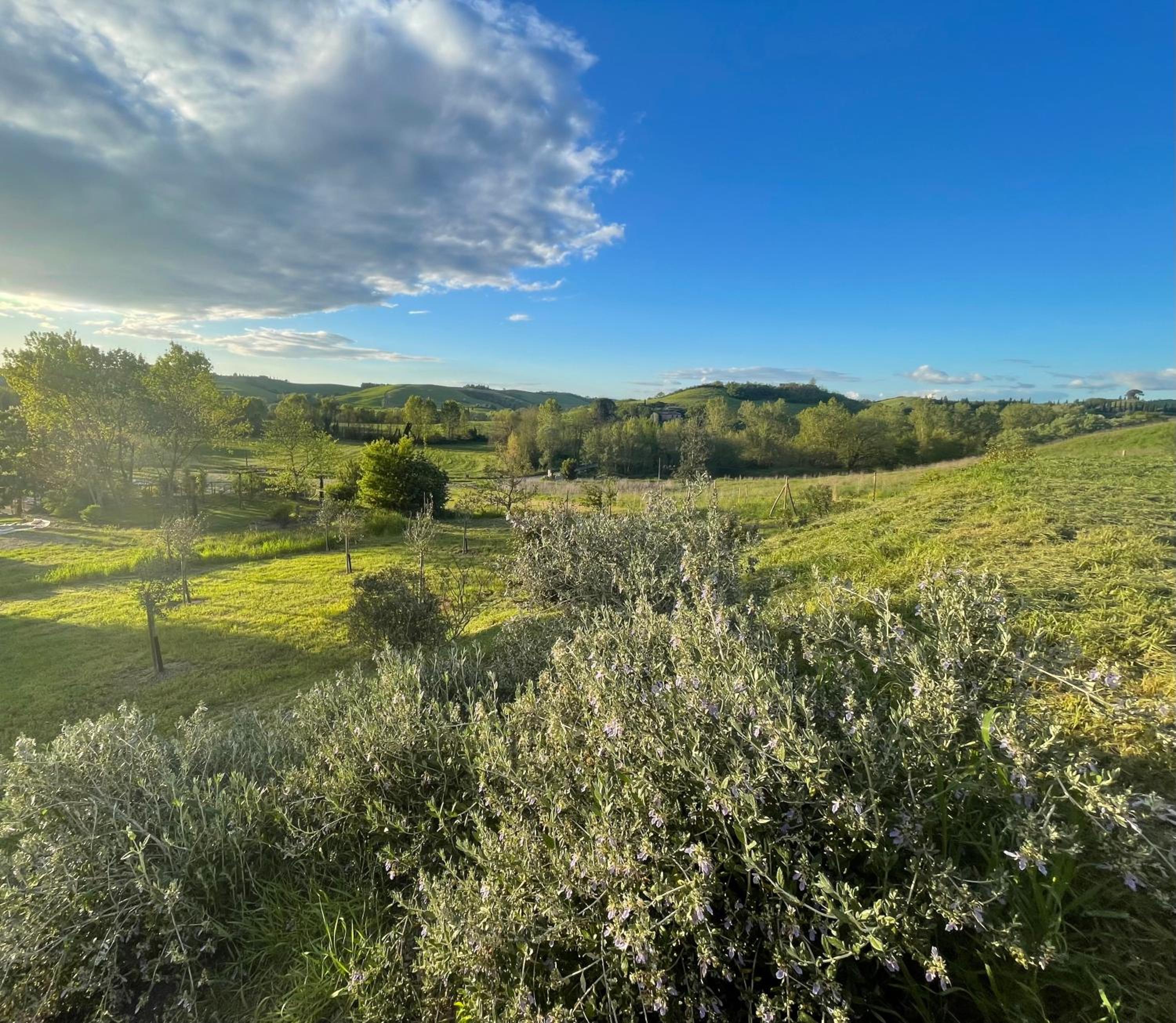 Agriturismo La Frattina