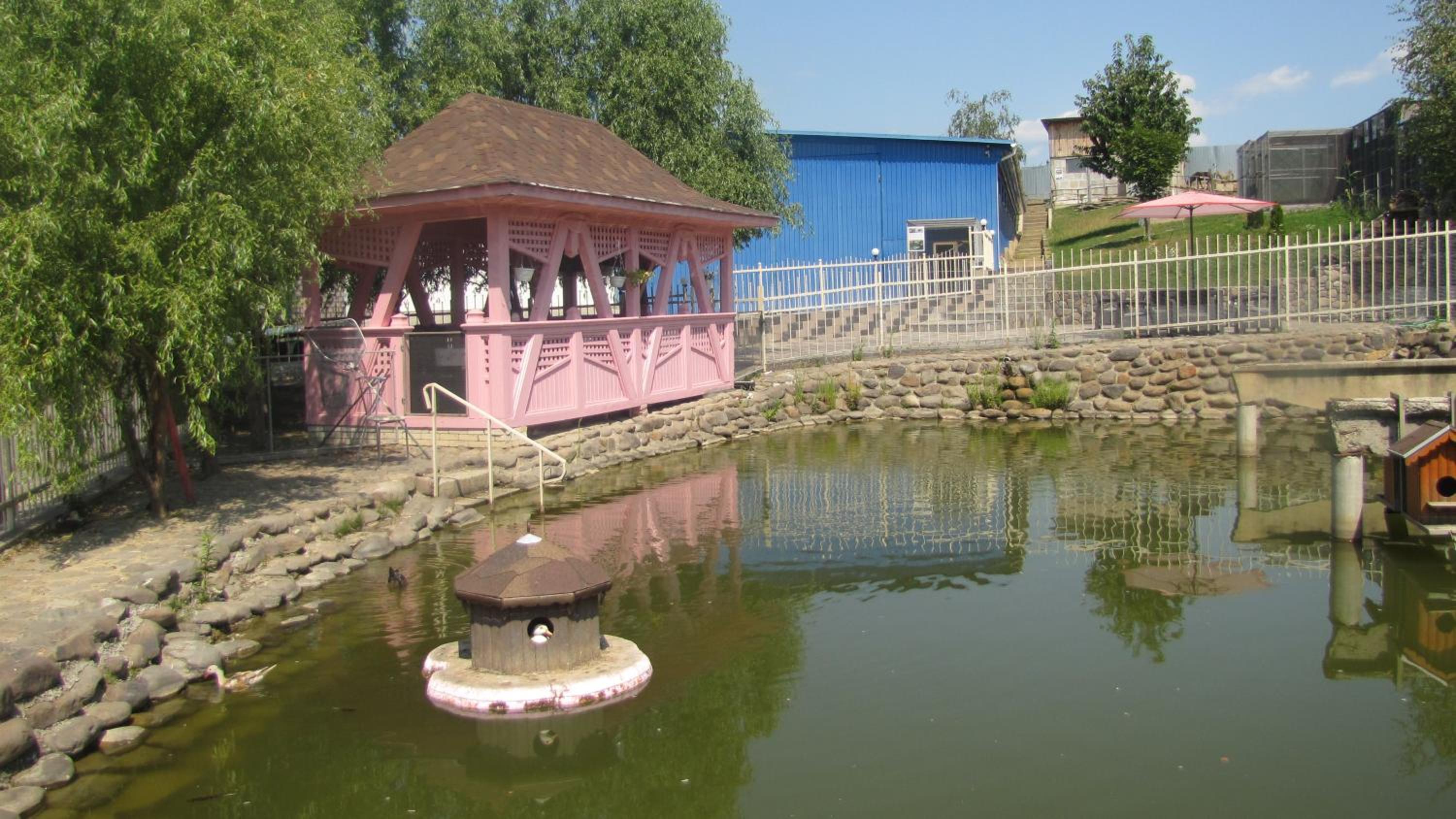 Photo 48