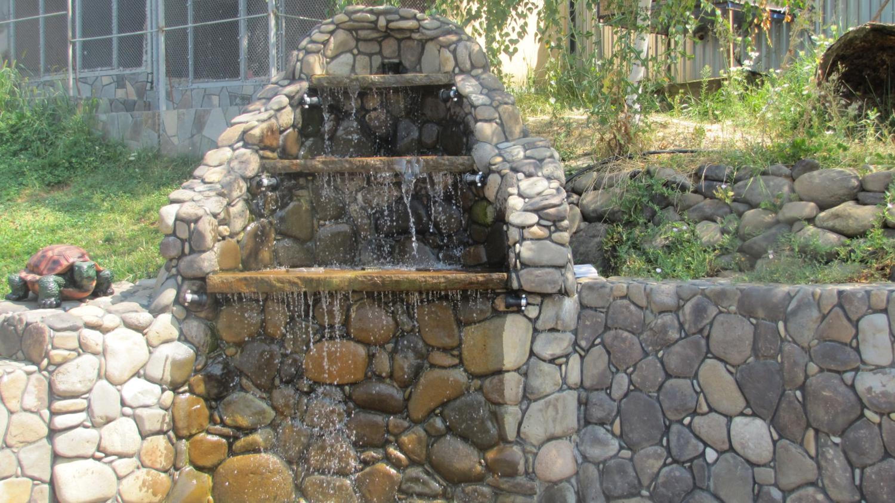 Photo 17