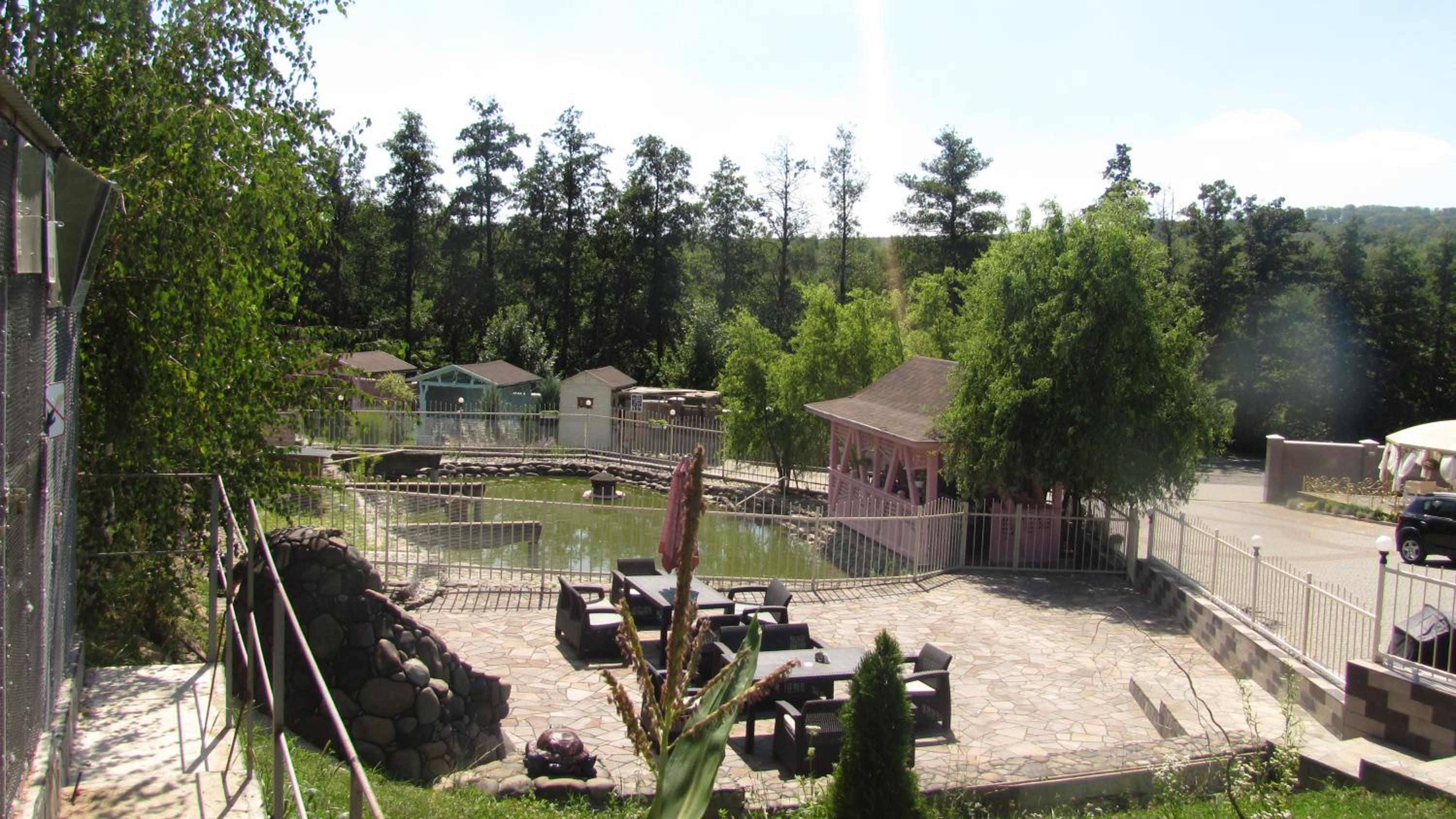 Photo 21