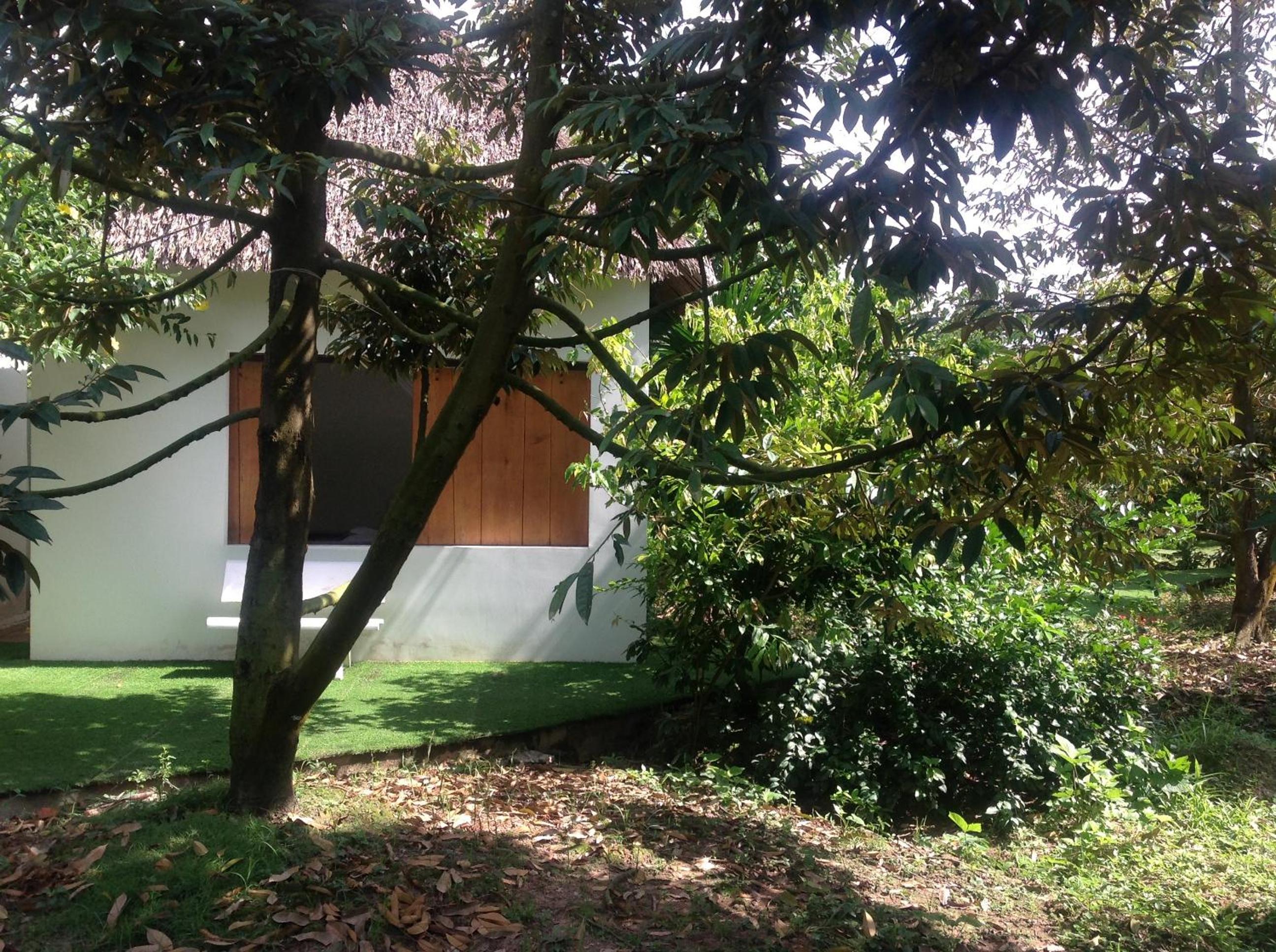 Photo 17