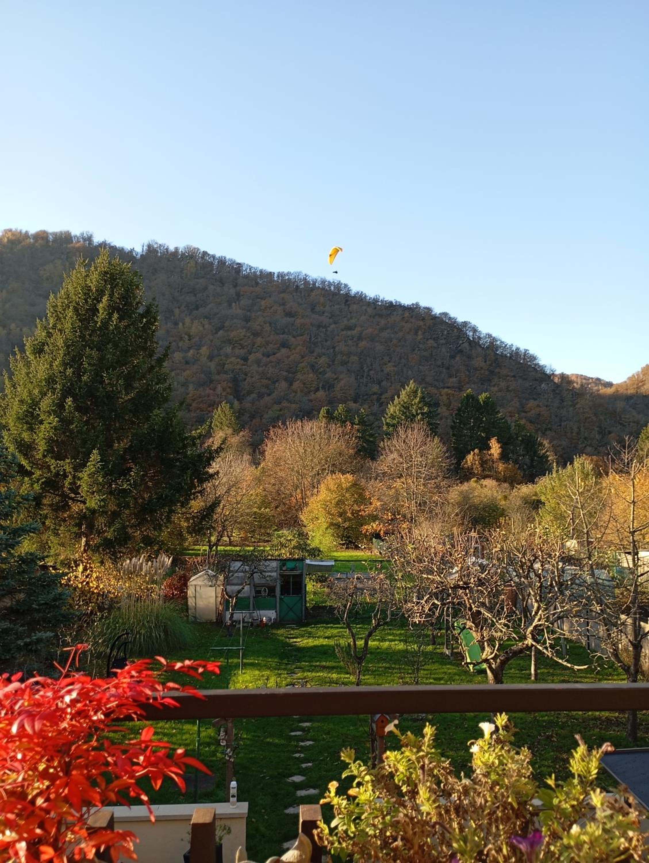 Les Ecureuils, photo 41