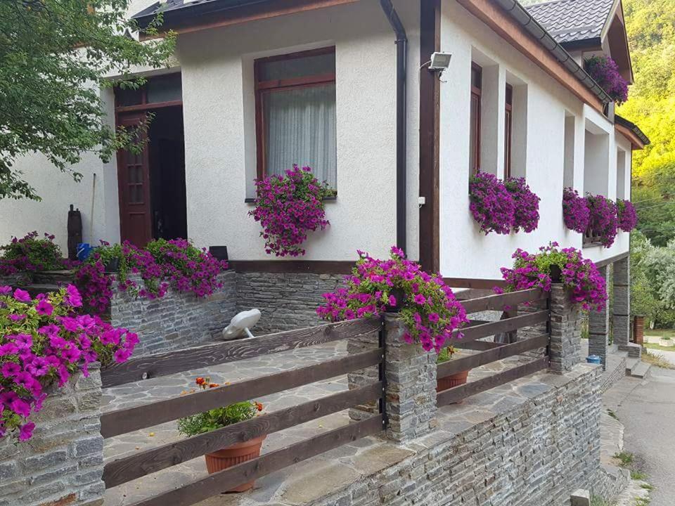 Villa Ana Marija view 5