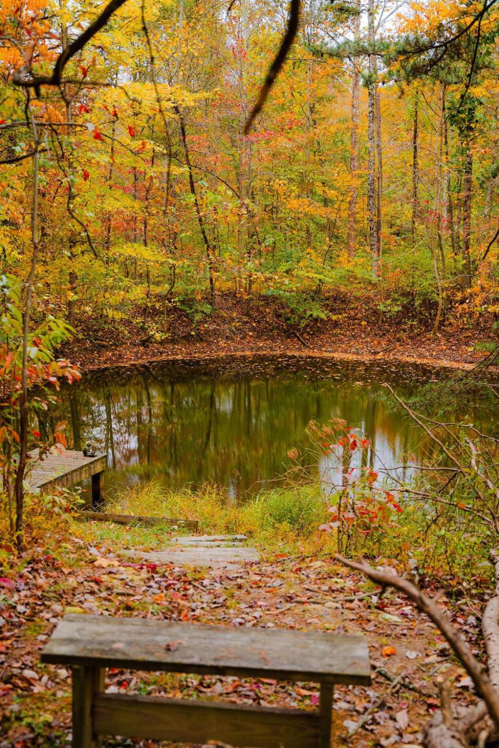 The 312 House| A Boho Retreat| Hocking Hills
