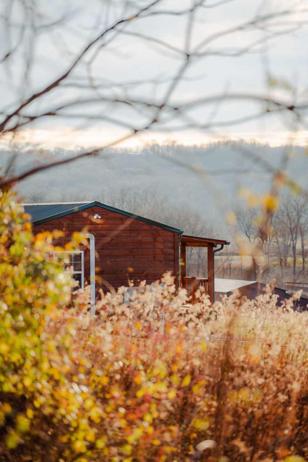 Cedar Wrapped Cozy Villa Cabin - 4 miles from Trails