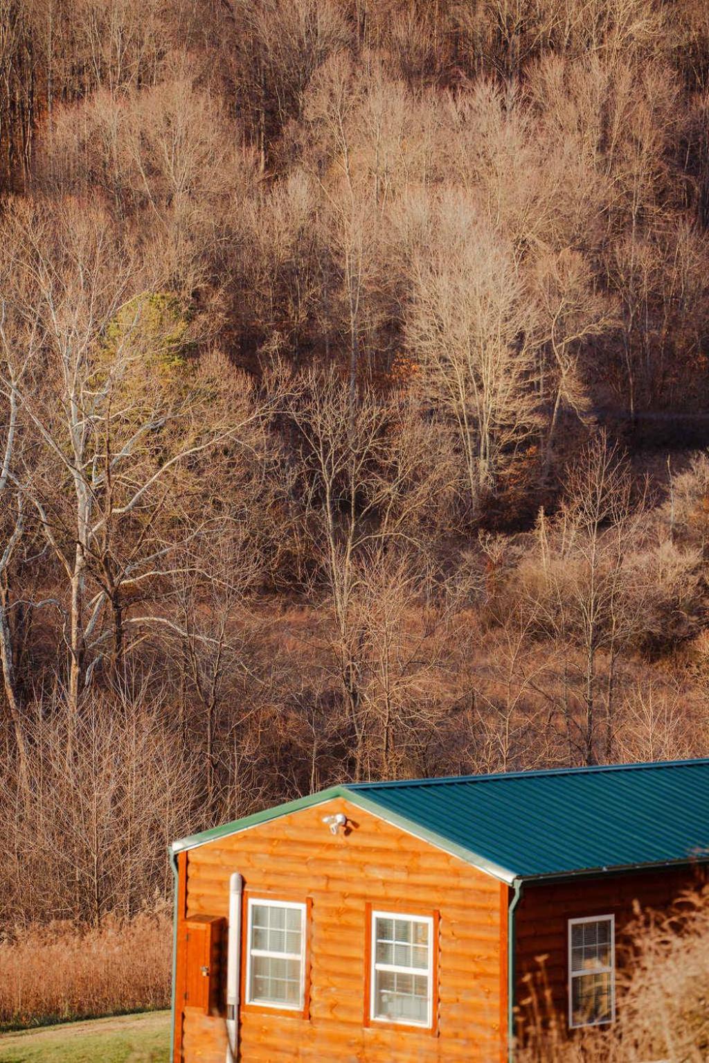 Cedar Wrapped Cozy Villa Cabin - 4 miles from Trails