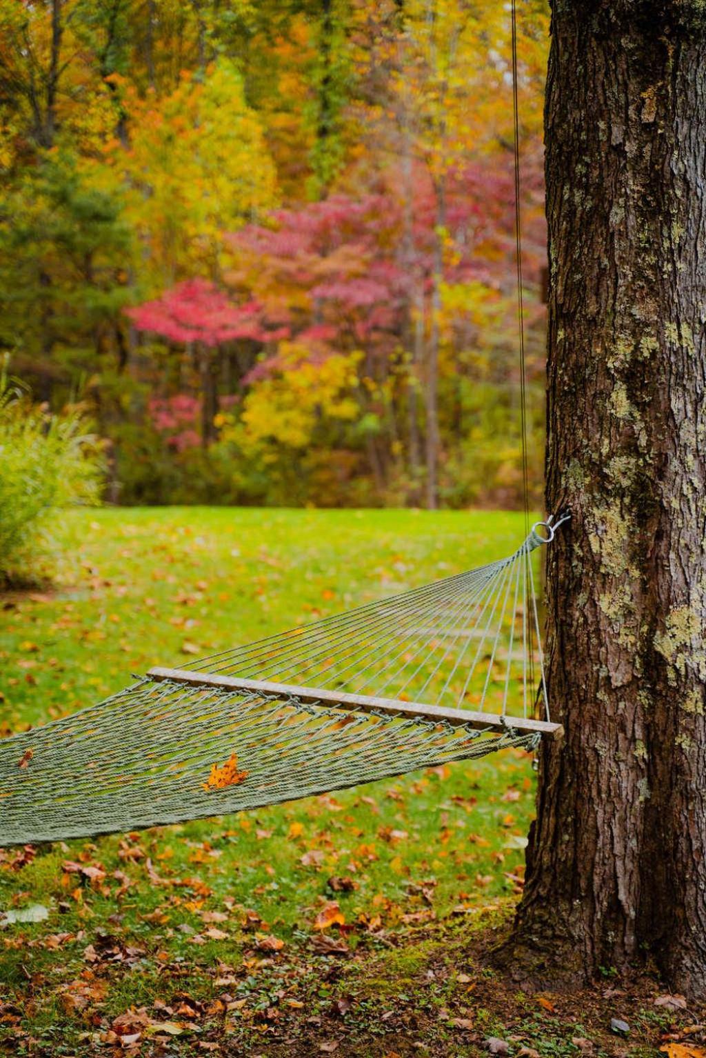 The 312 House| A Boho Retreat| Hocking Hills