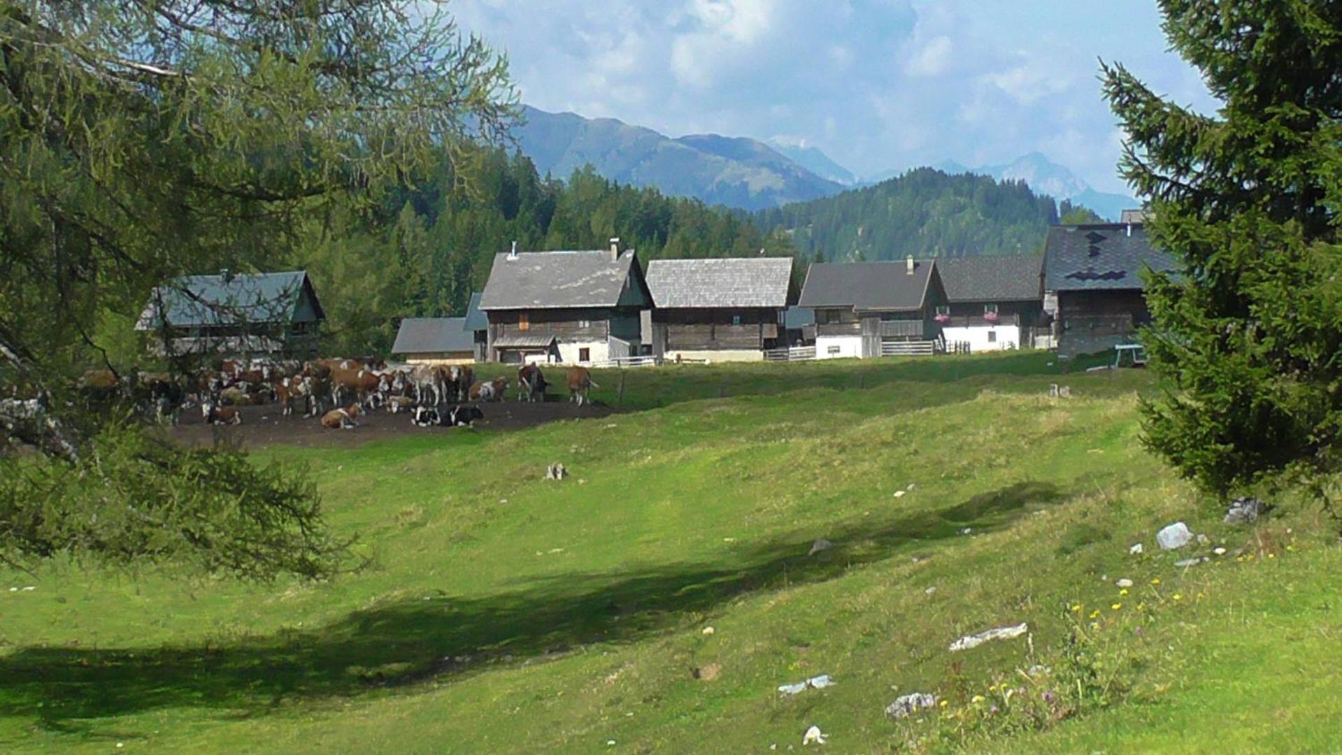 Photo 13