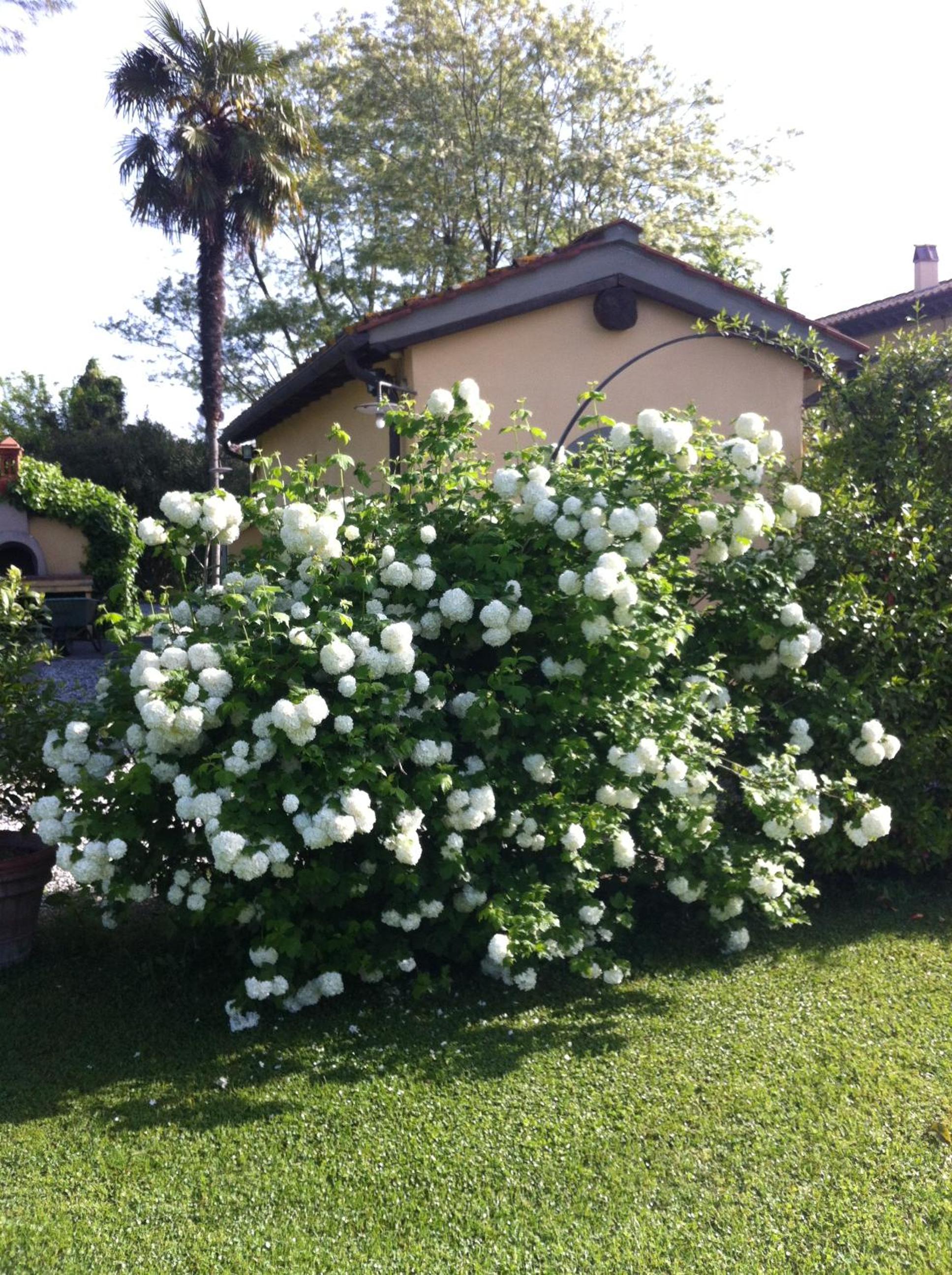 Photo 68