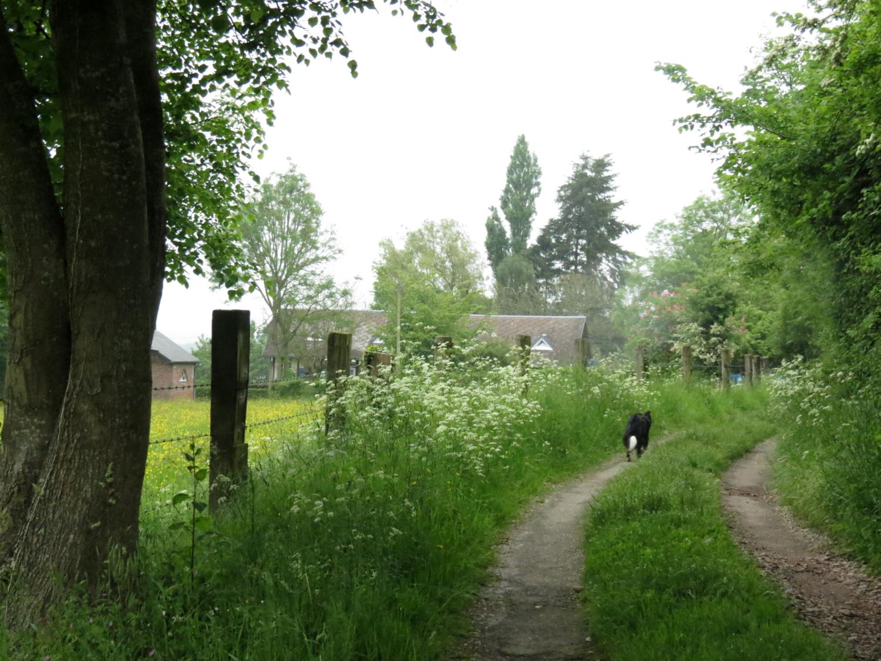 Photo 81