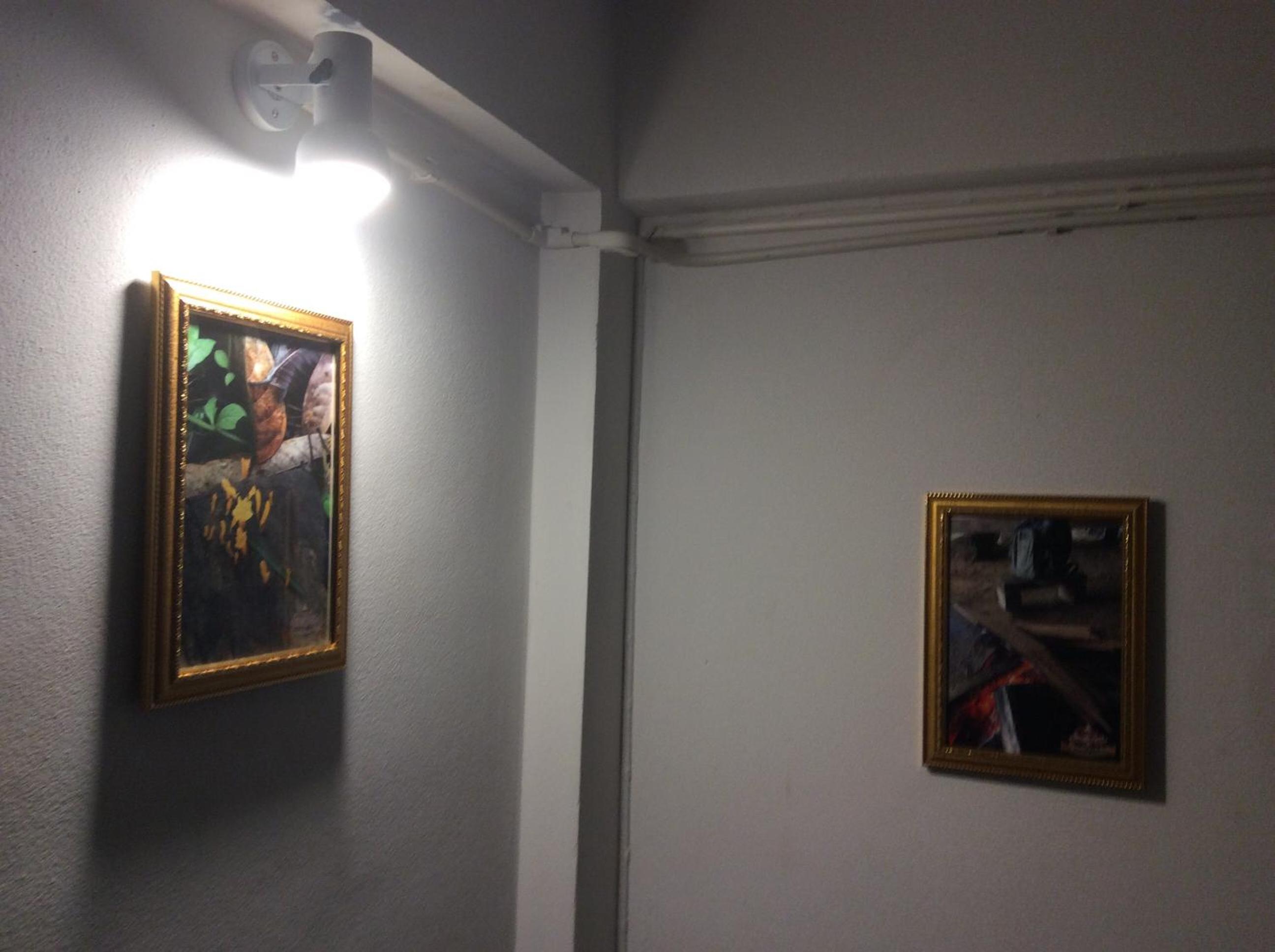 Amaretto Hostel