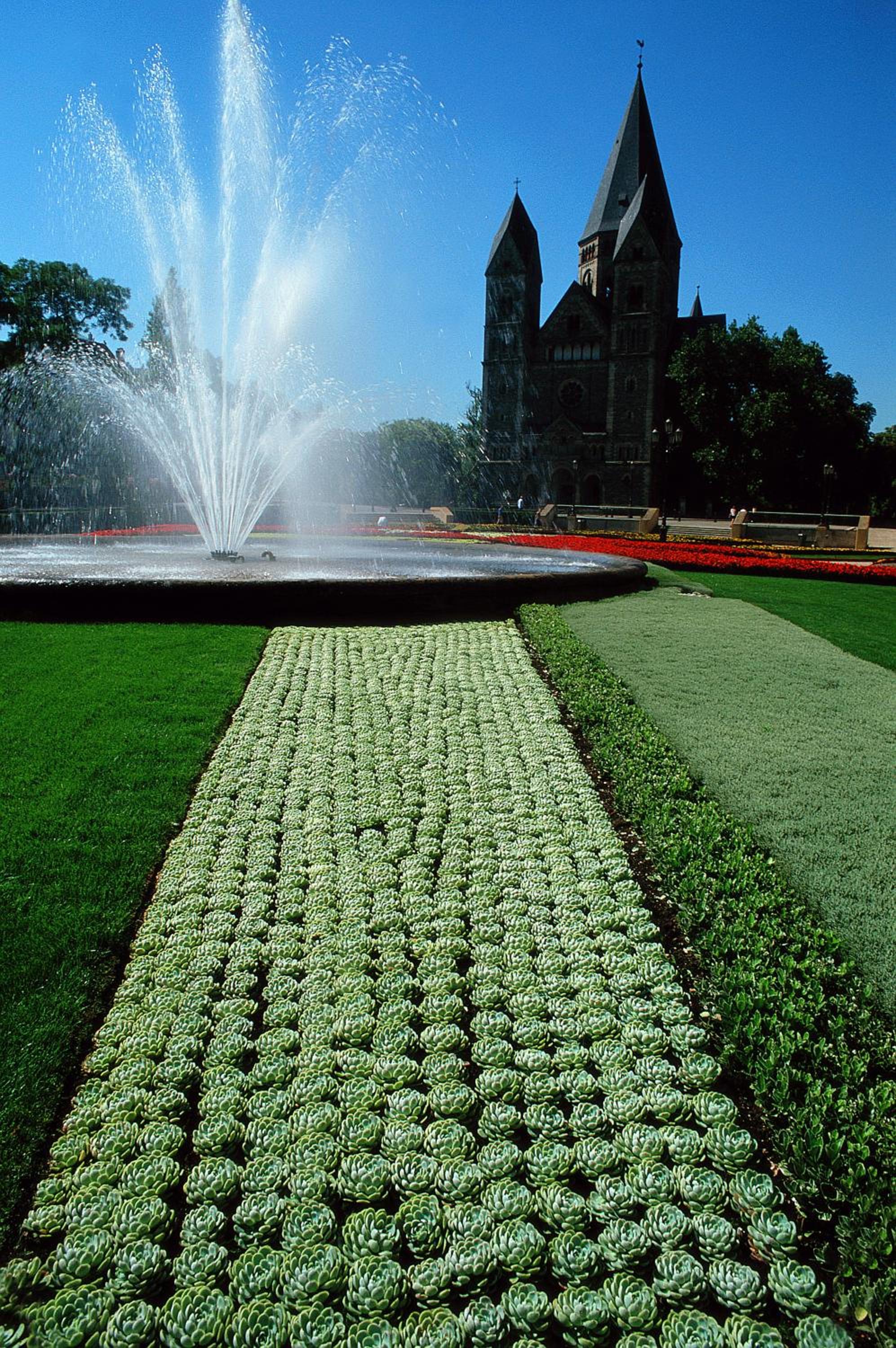 garden