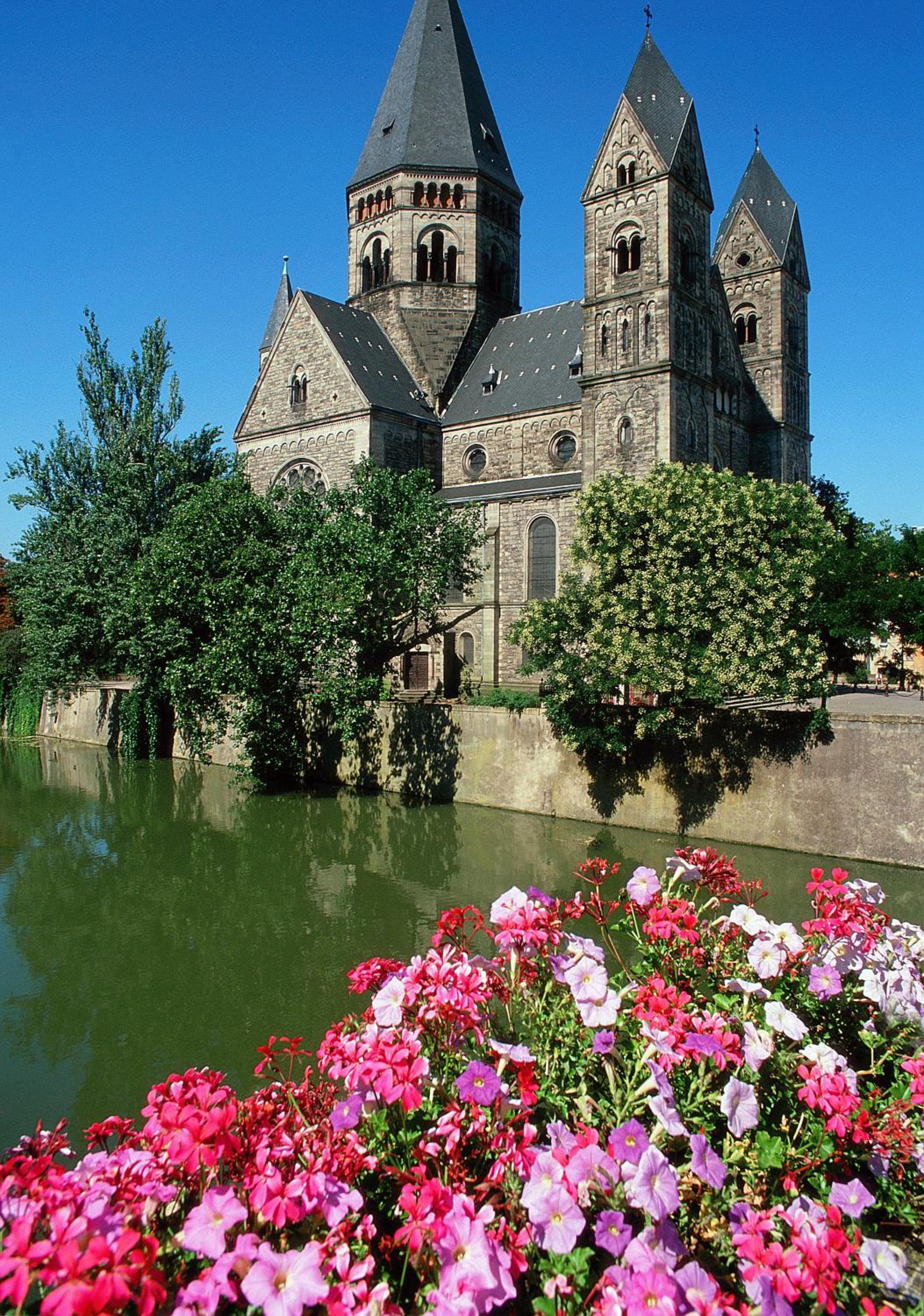 garden