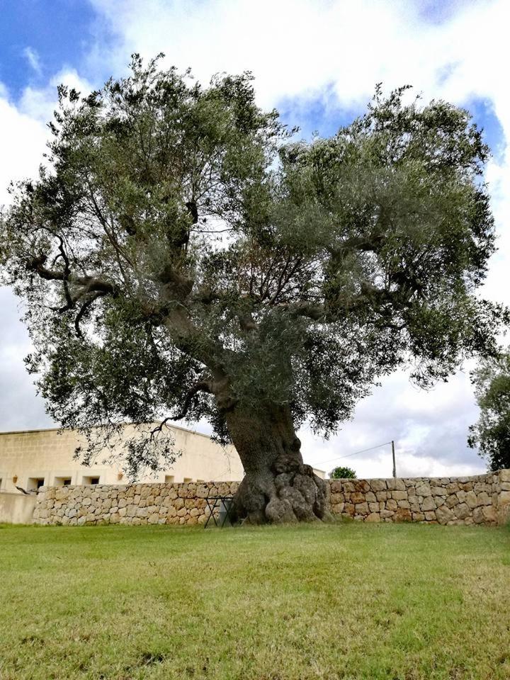 Agriturismo Spirdo
