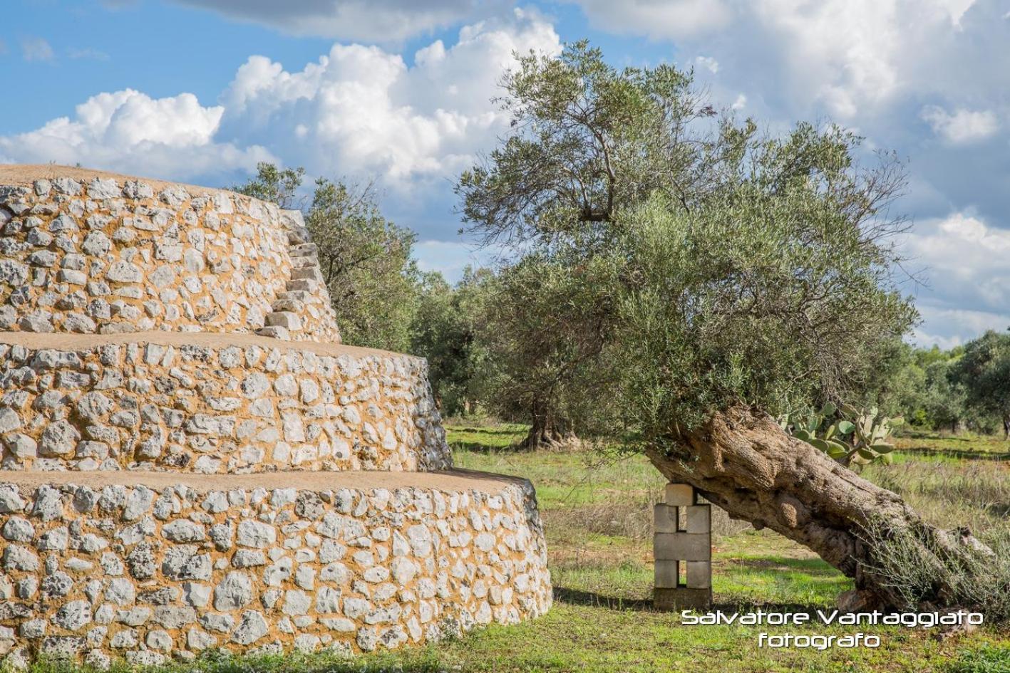 Agriturismo Spirdo