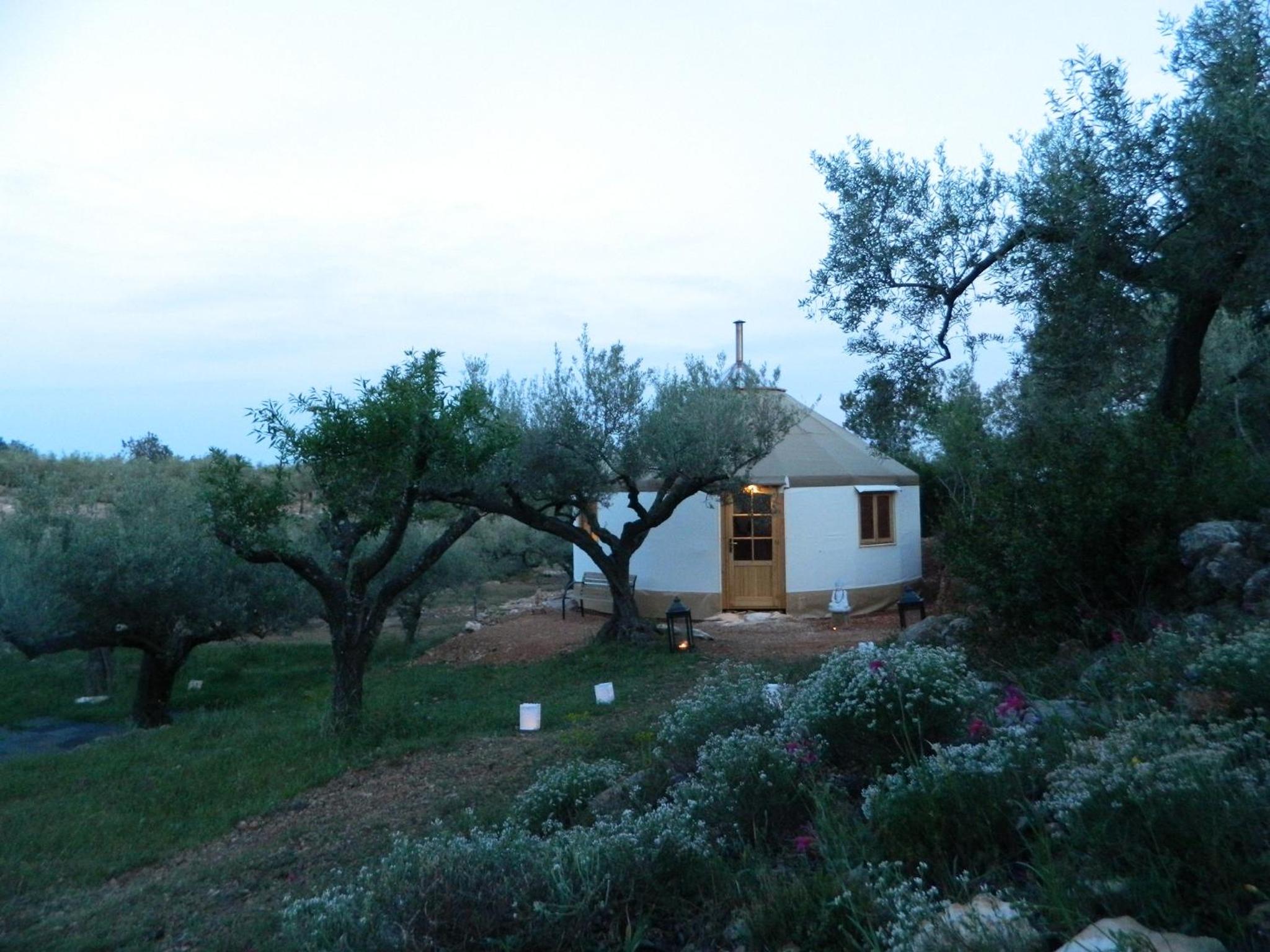 Photo 10