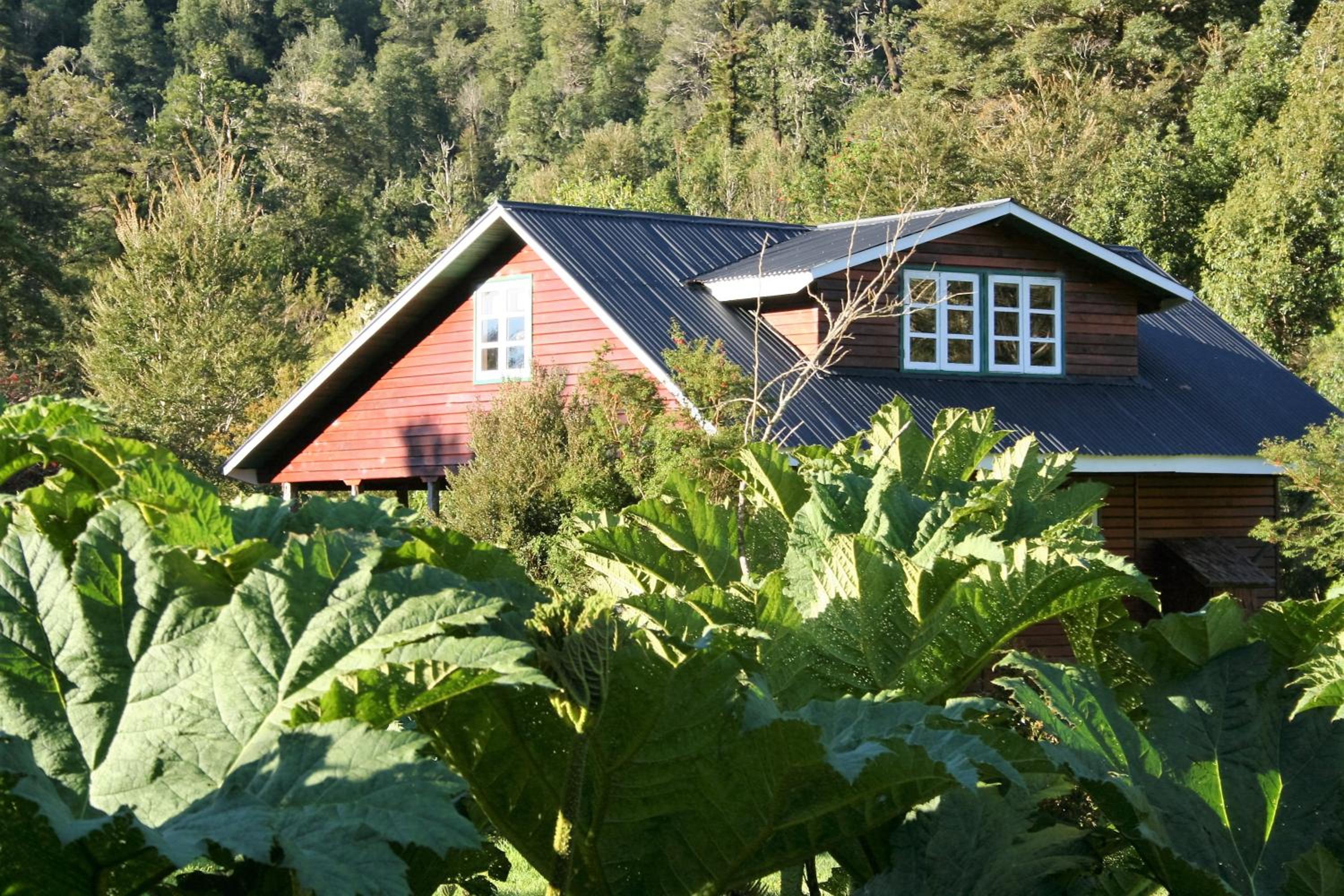 garden