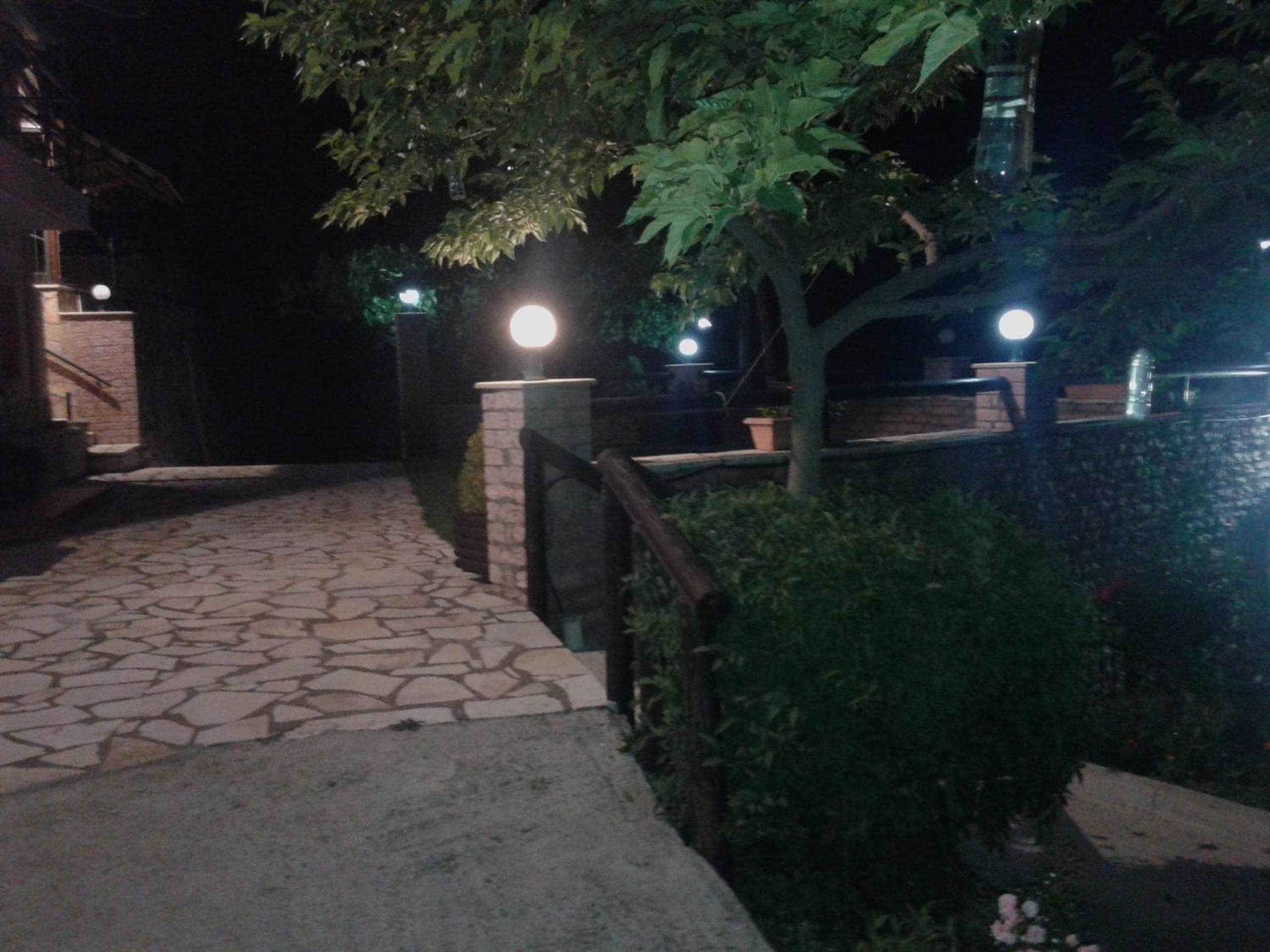 Photo 41
